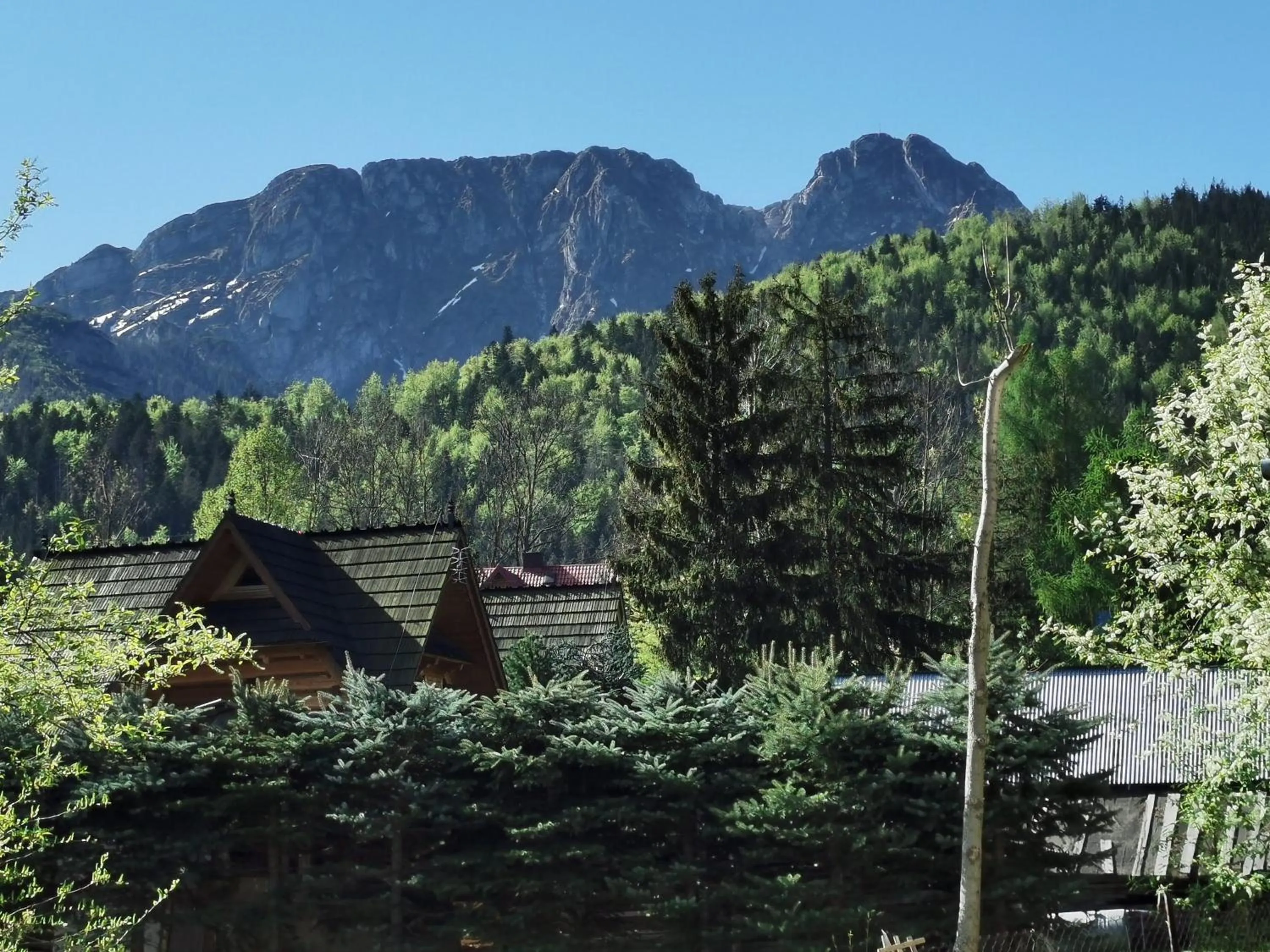 Neighbourhood in Willa Senator