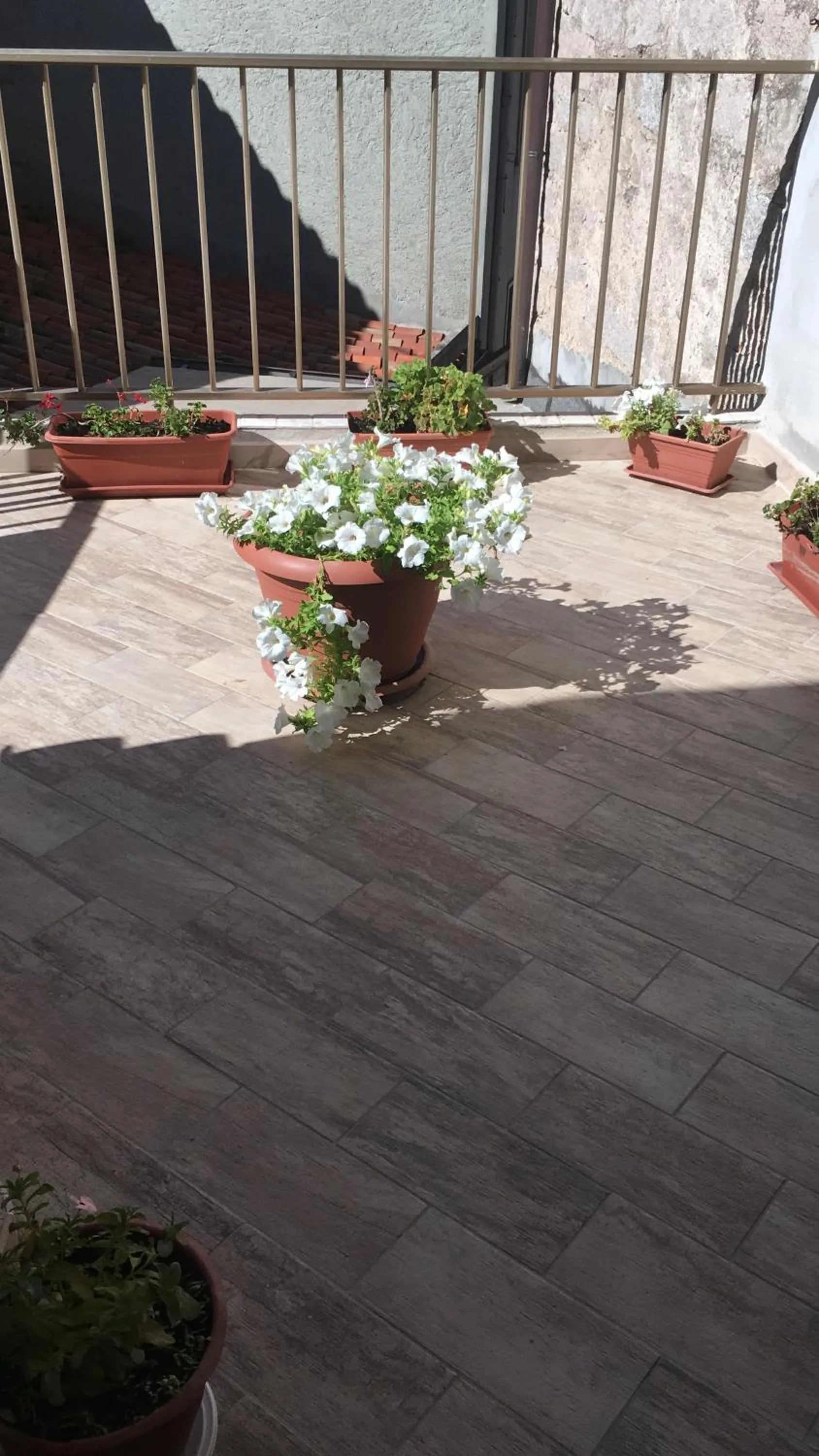 Guest House Le Gemelle