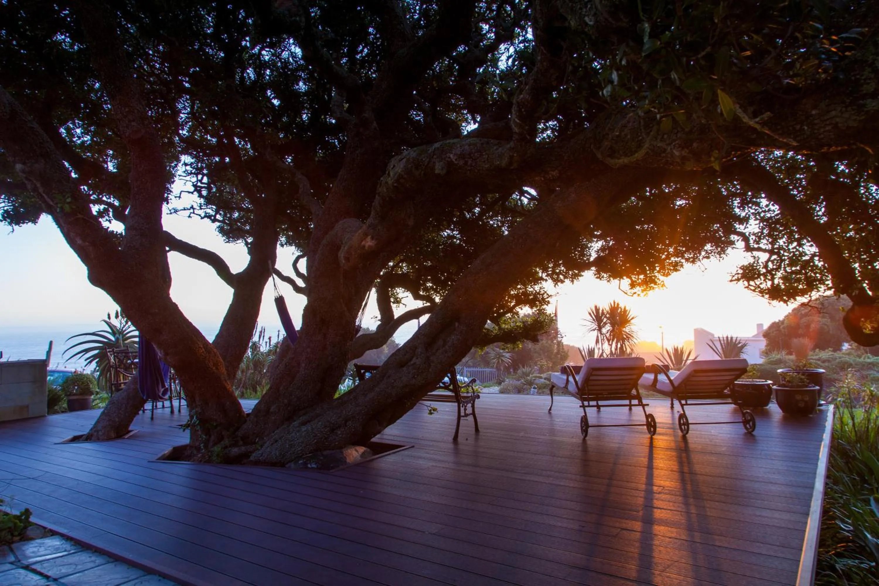 Garden in Ocean View House