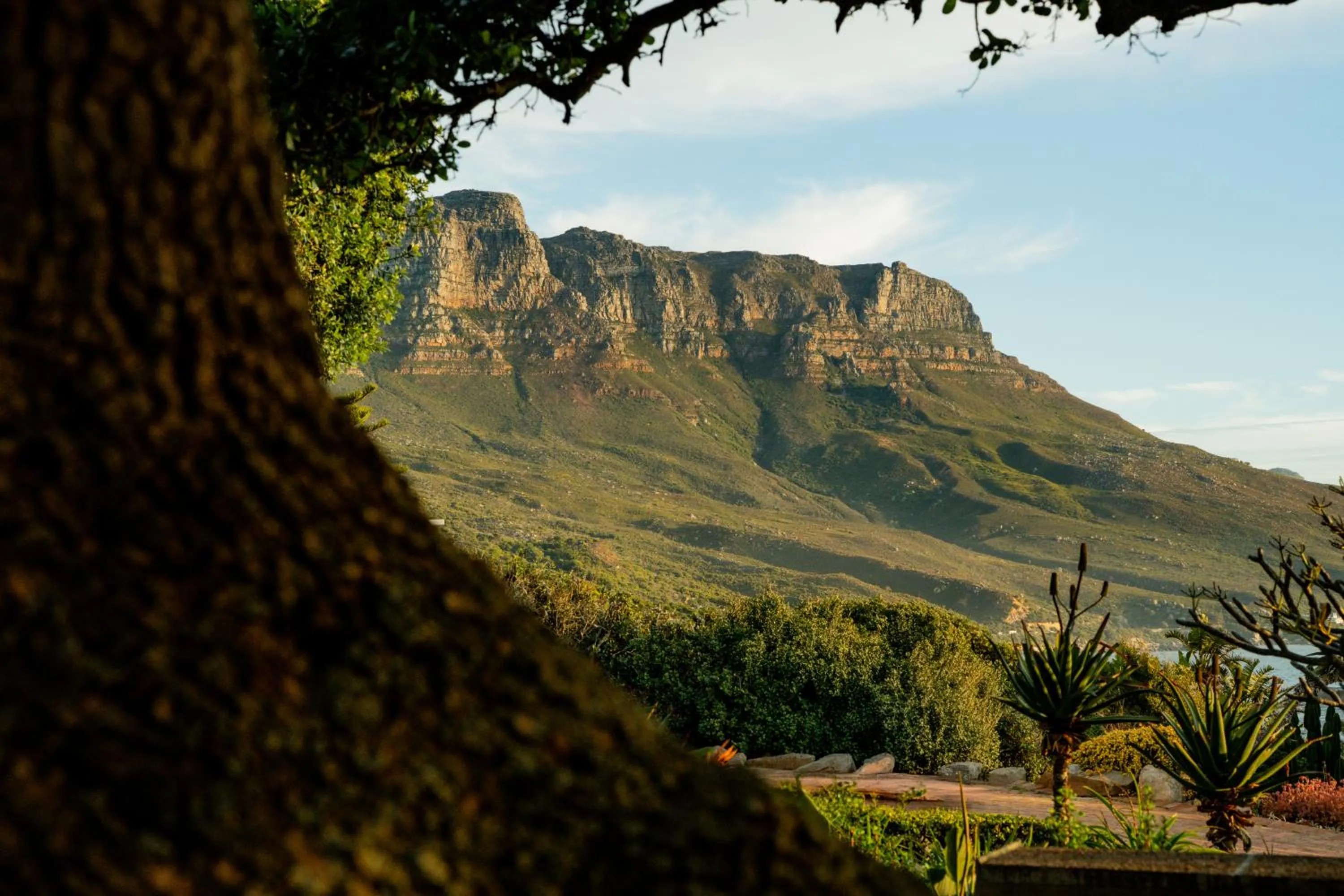 Mountain view in Ocean View House