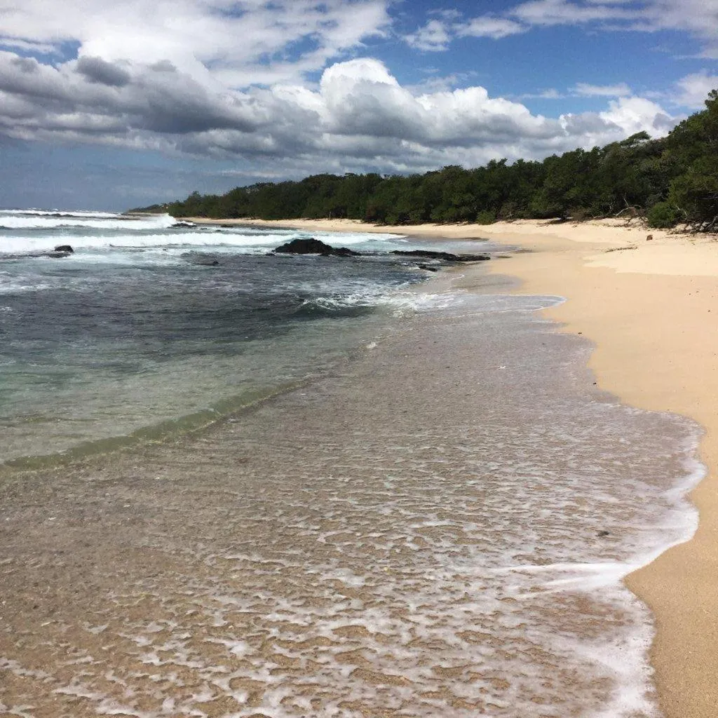 Beach in Hotel Playa Negra