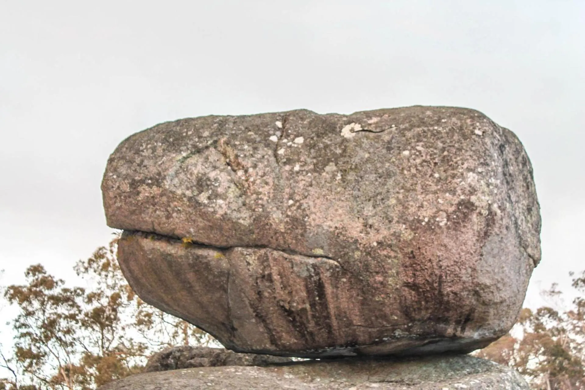 View (from property/room) in Girraween Country Inn