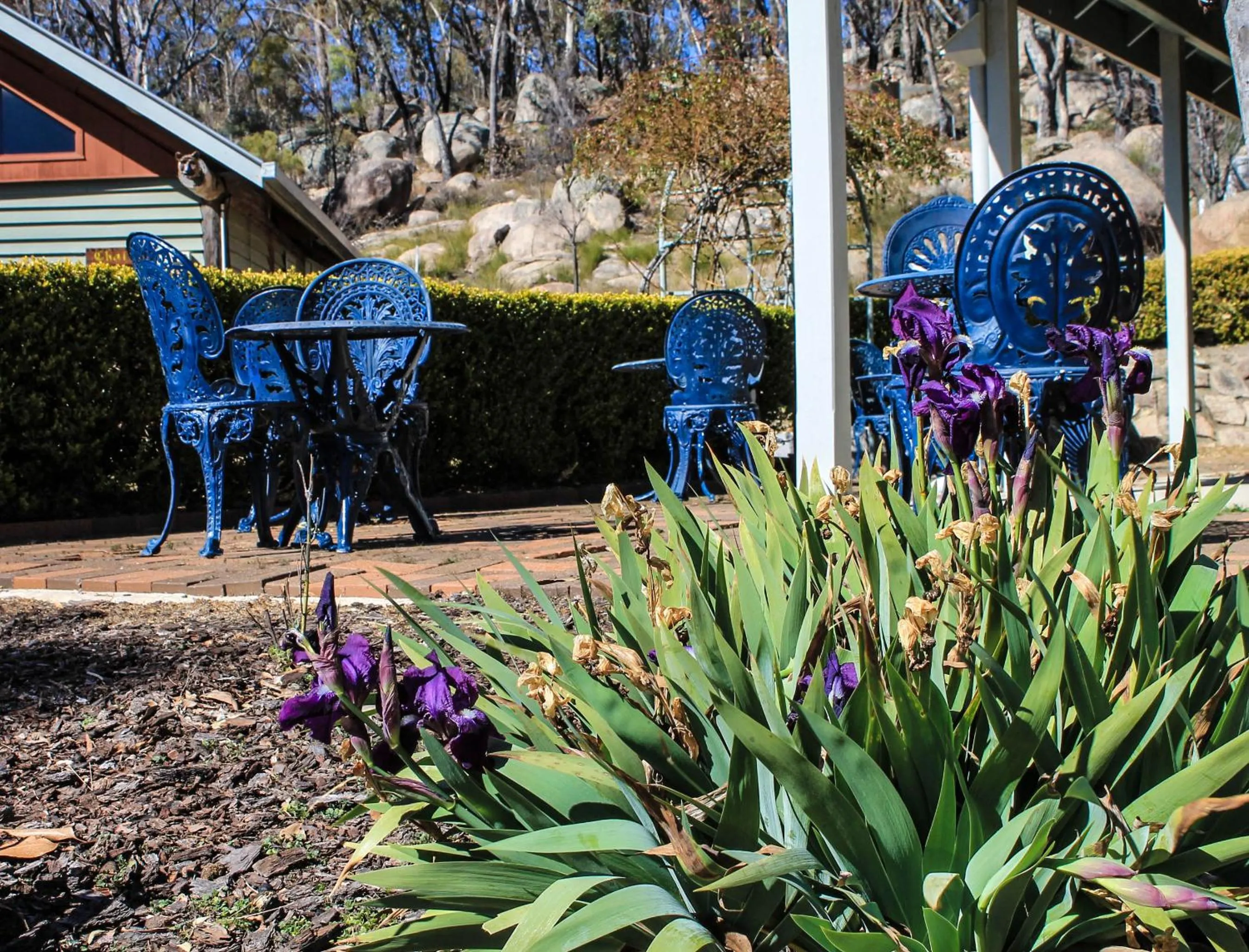 Patio in Girraween Country Inn