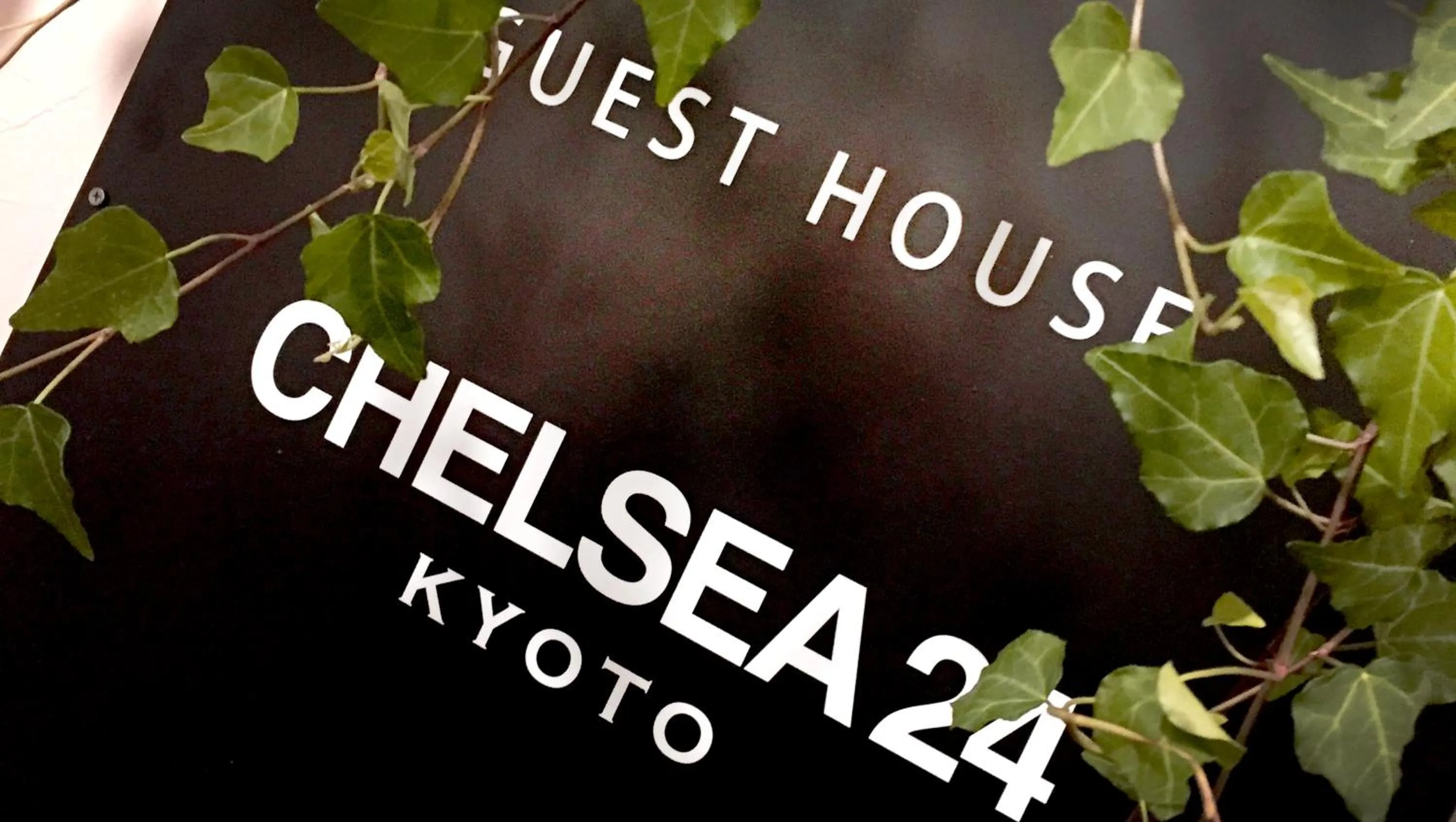 Property building in CHELSEA24