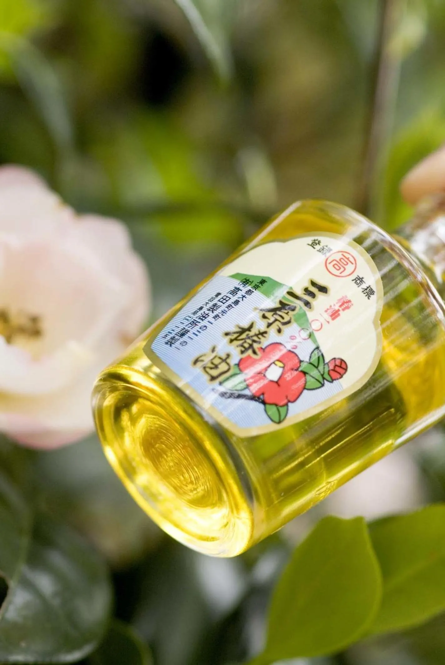 Spa and wellness centre/facilities in Mashio Hotel & Resort