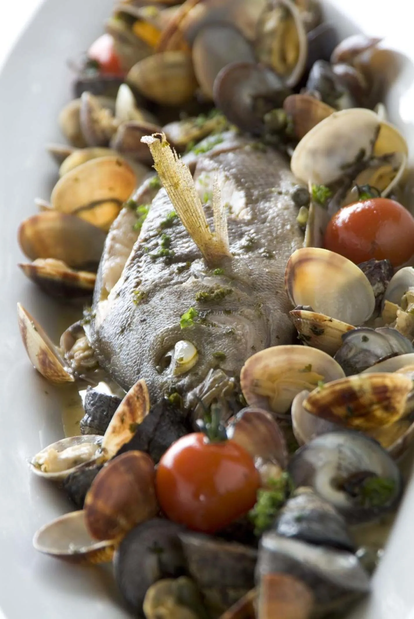 Food close-up in Mashio Hotel & Resort