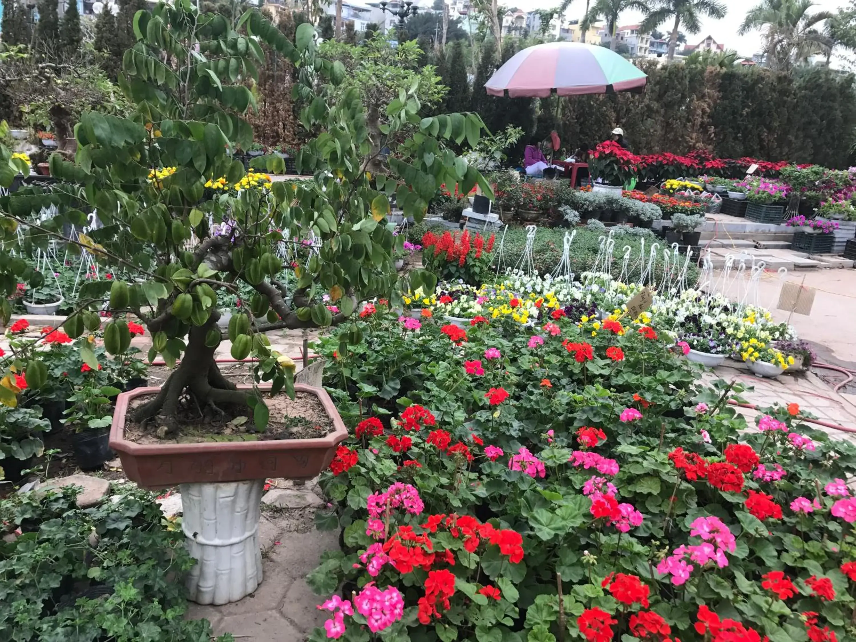 Facade/entrance in Ha Long Park Hotel Facade/entrance in Ha Long Park Hotel