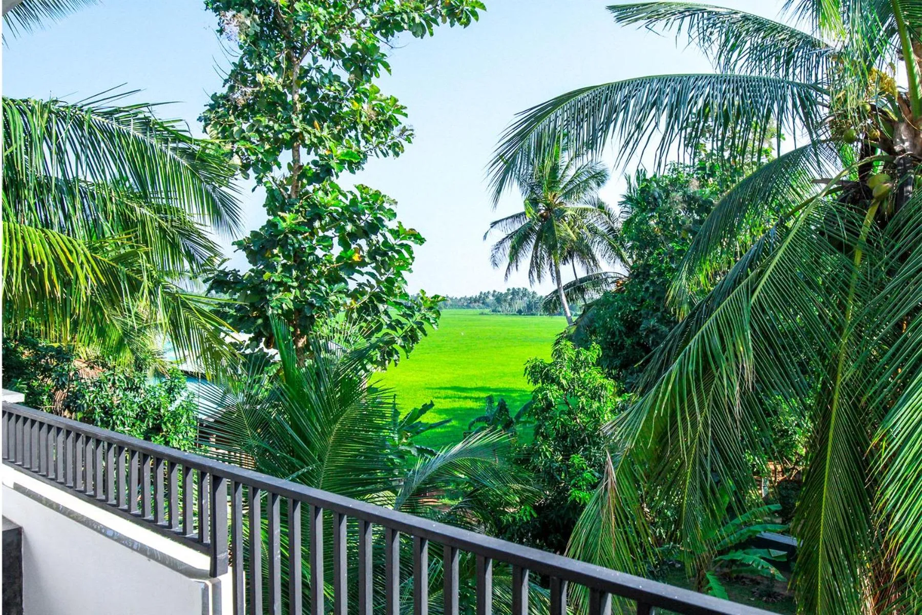 Natural landscape in Hotel Nilketha Yala Tissamaharama