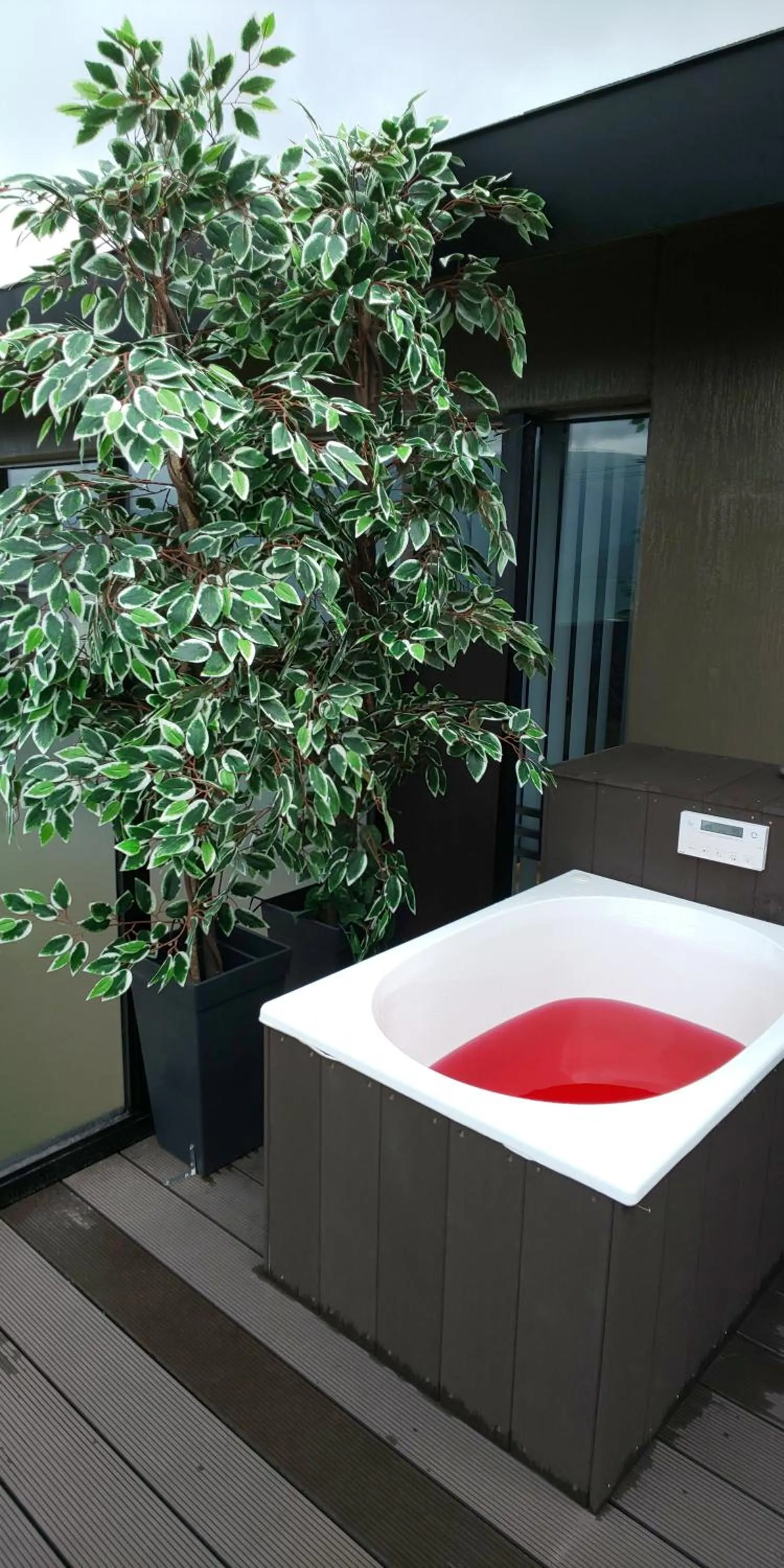 Hakone Gora Guam Dog