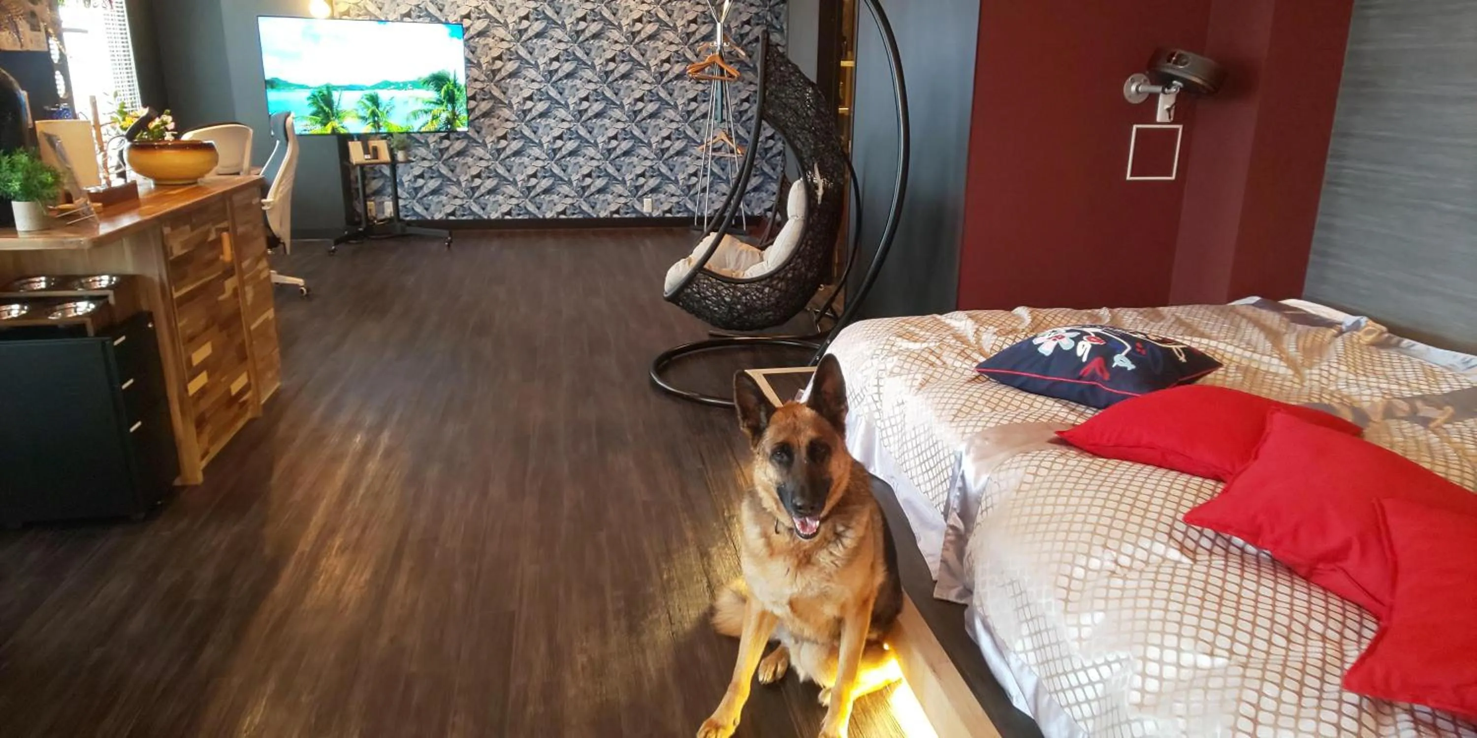 Hakone Gora Guam Dog