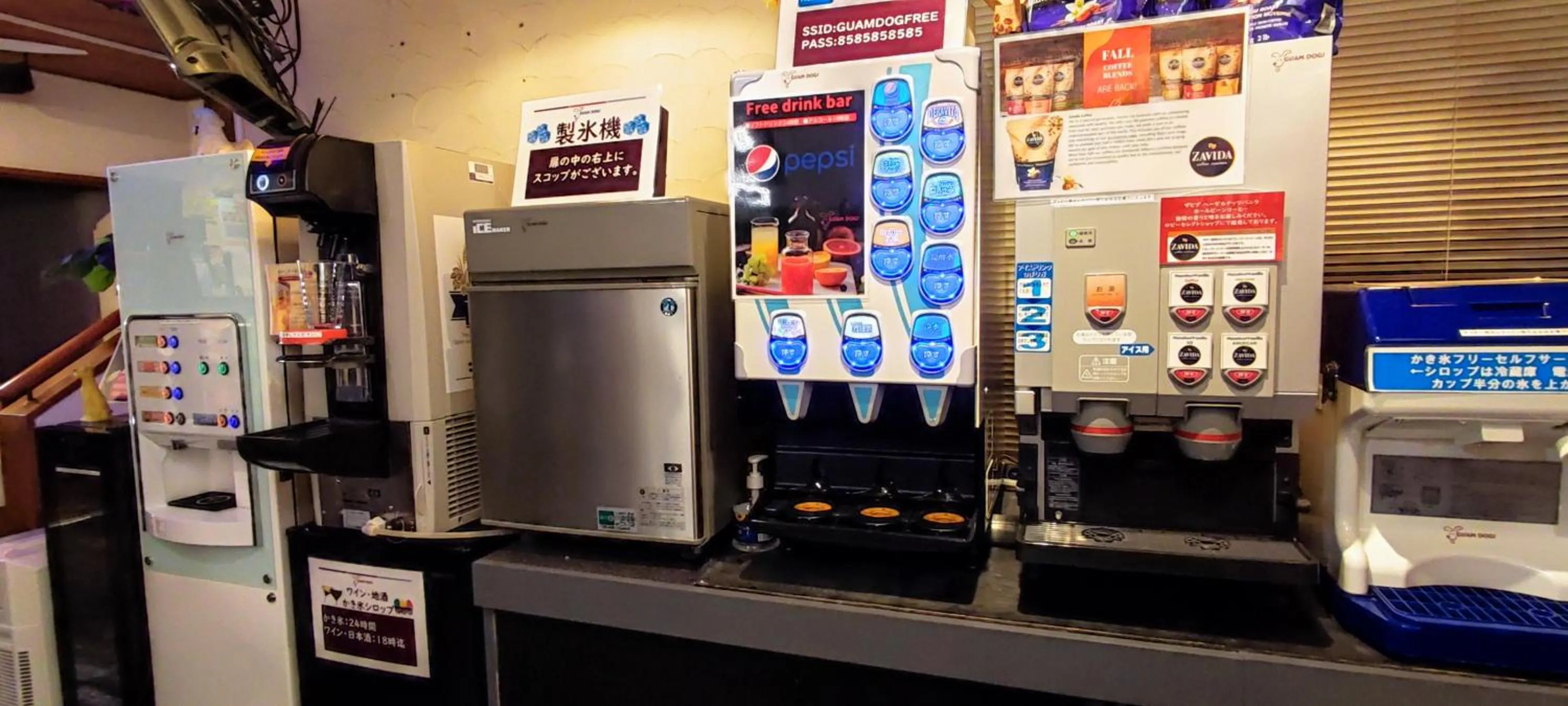 Hakone Gora Guam Dog