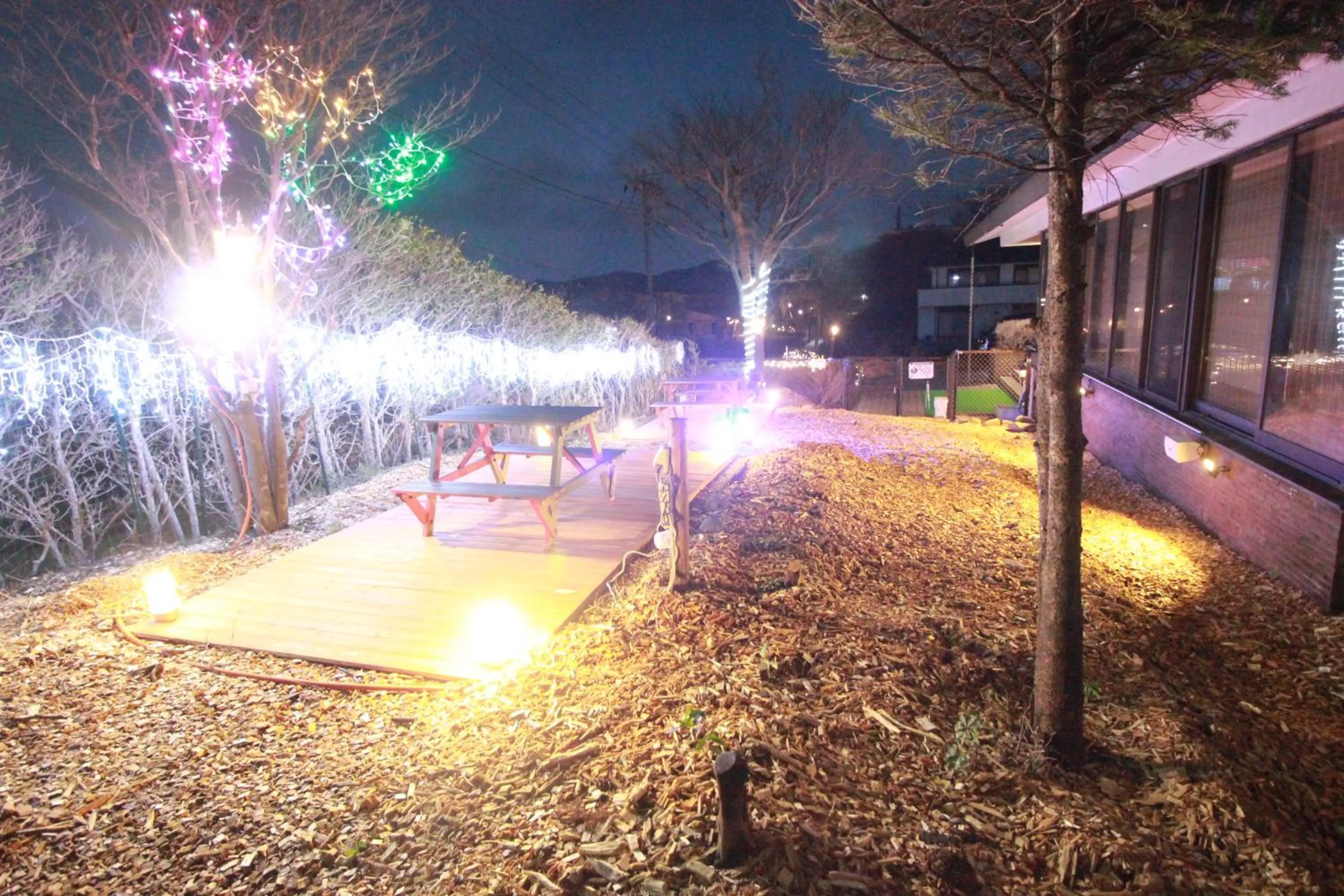 Hakone Gora Guam Dog