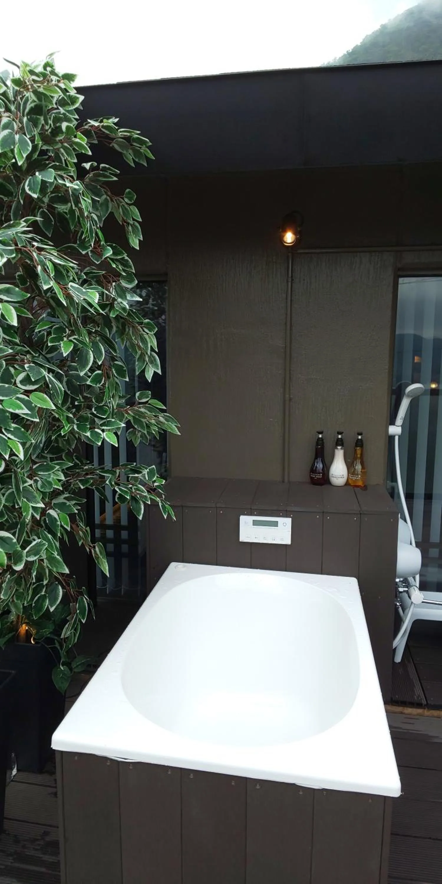 Hot Tub in Hakone Gora Guam Dog