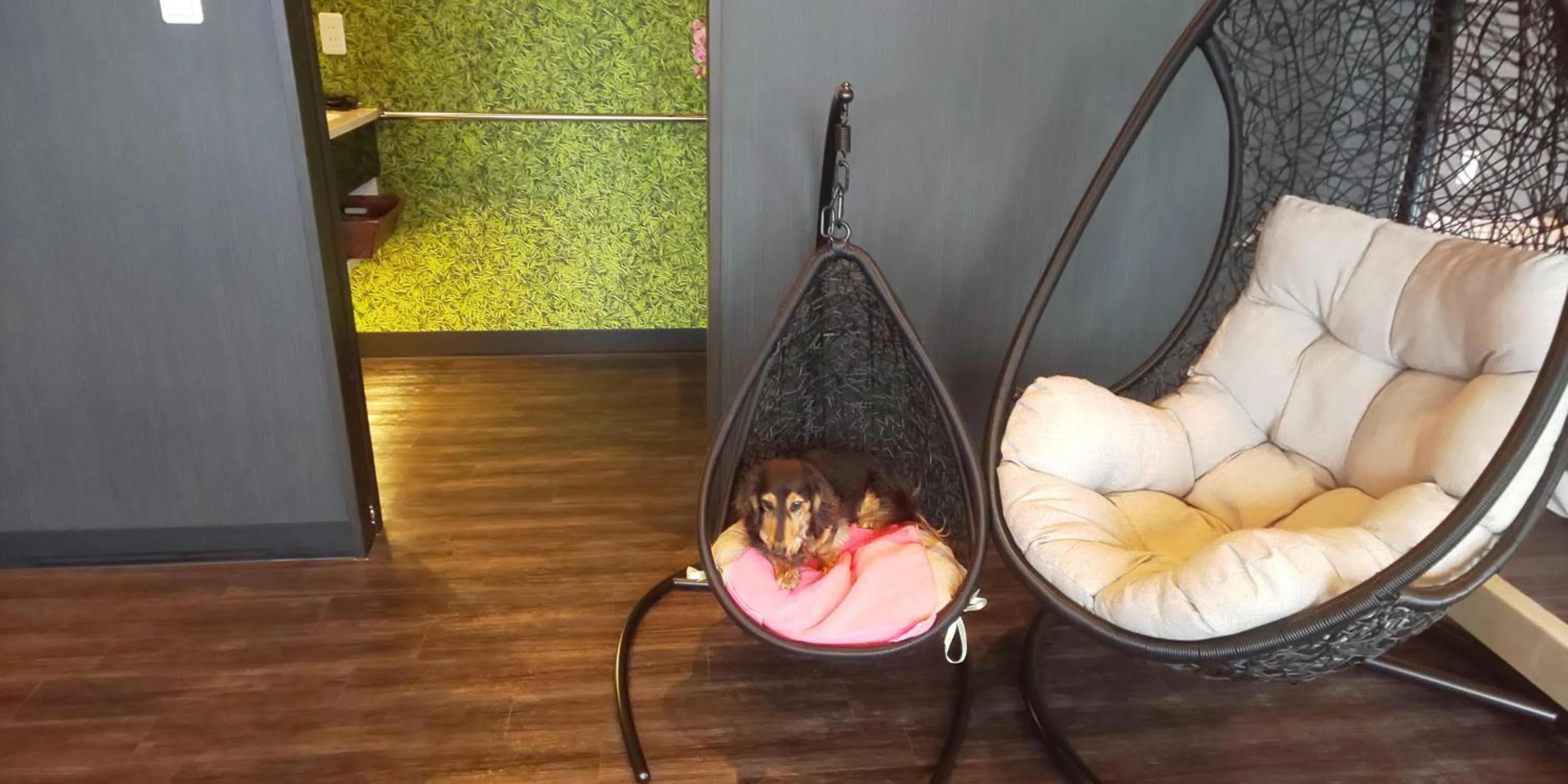 Hakone Gora Guam Dog