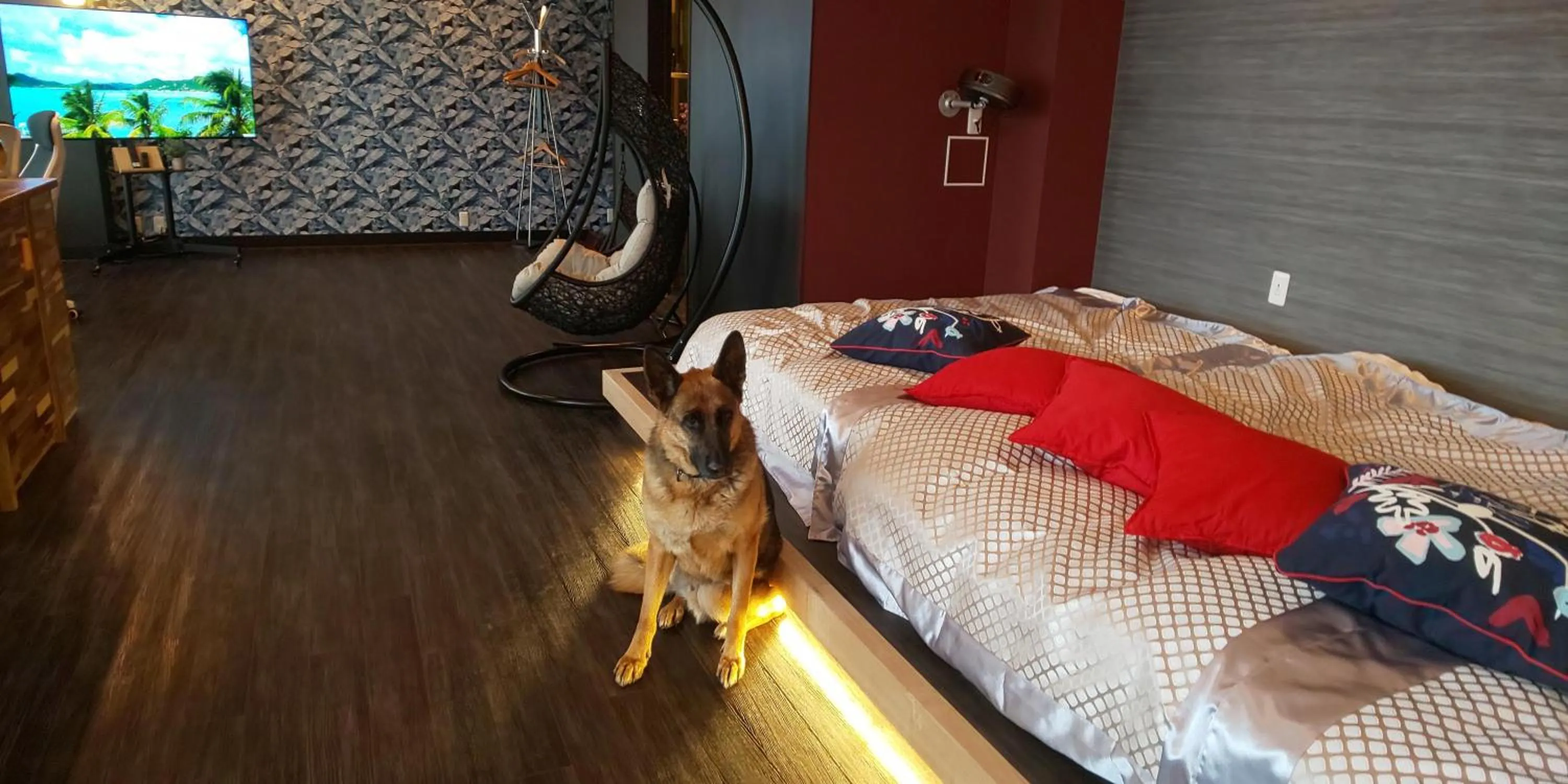 Hakone Gora Guam Dog