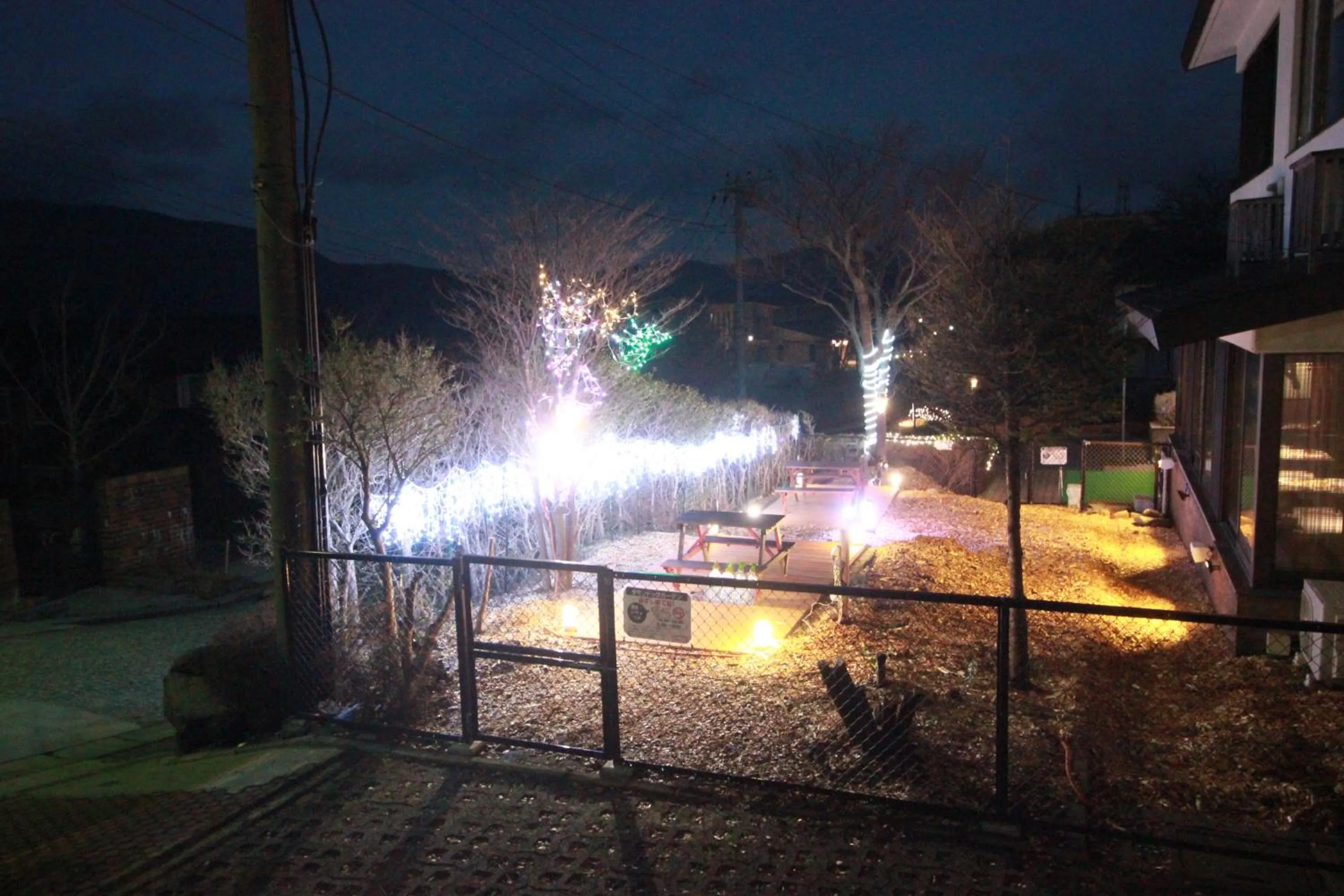 Hakone Gora Guam Dog