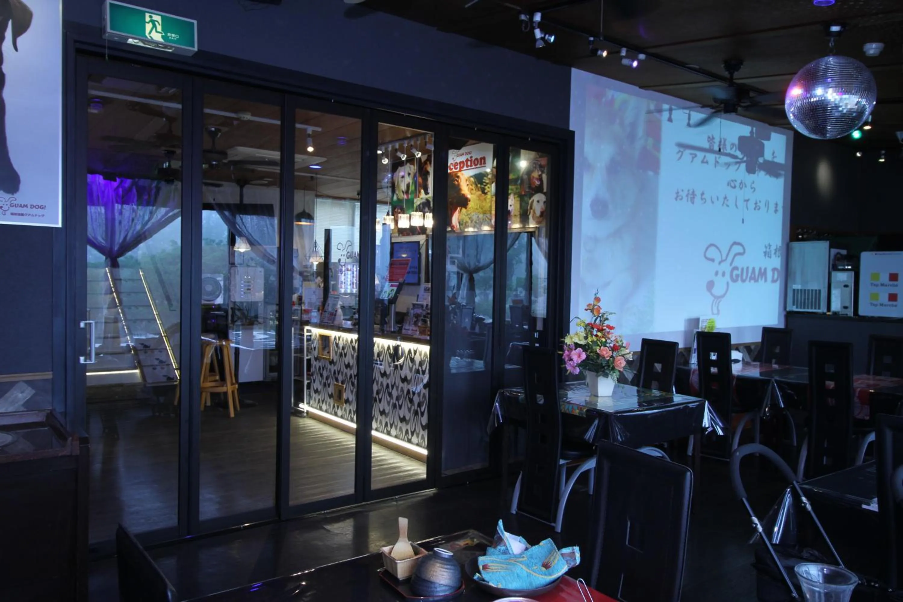 Hakone Gora Guam Dog