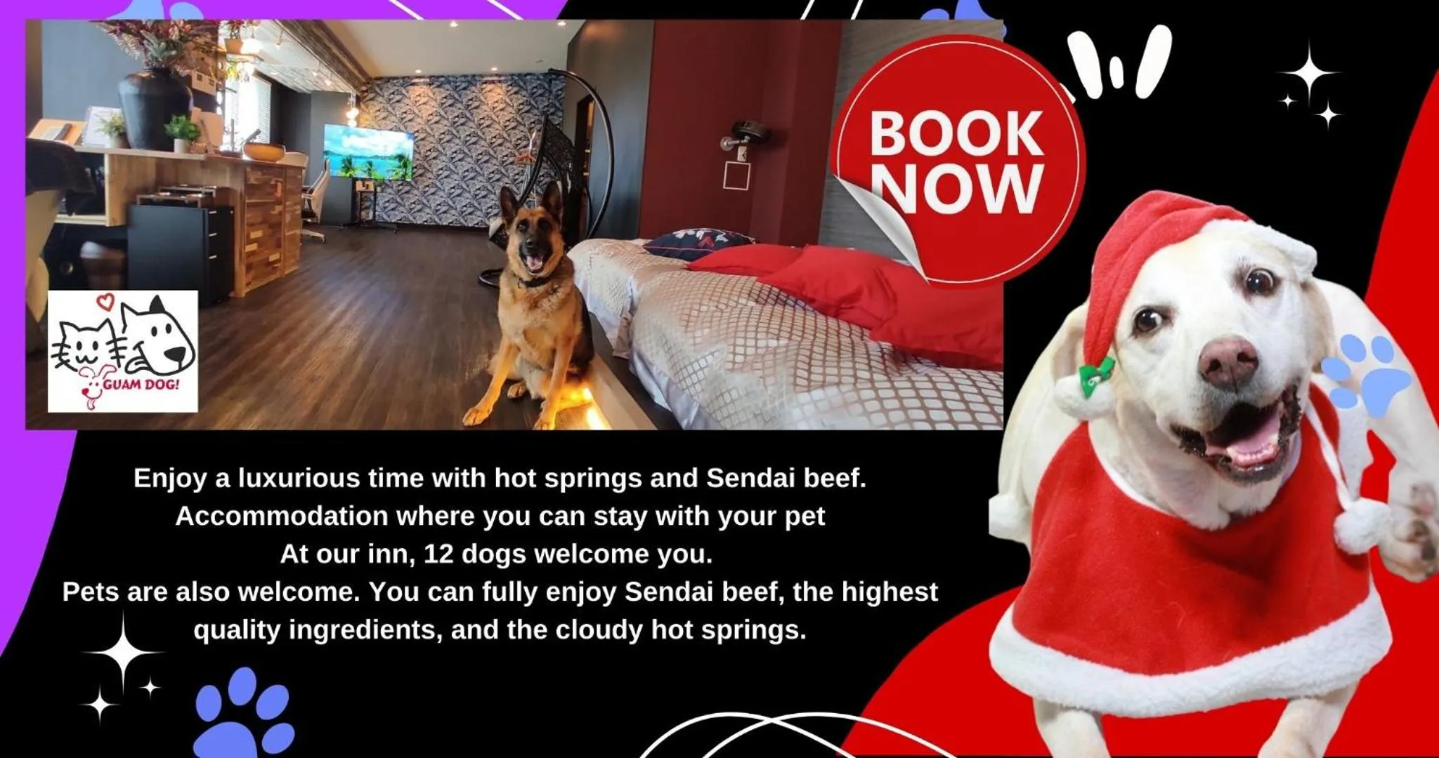 Photo of the whole room in Hakone Gora Guam Dog