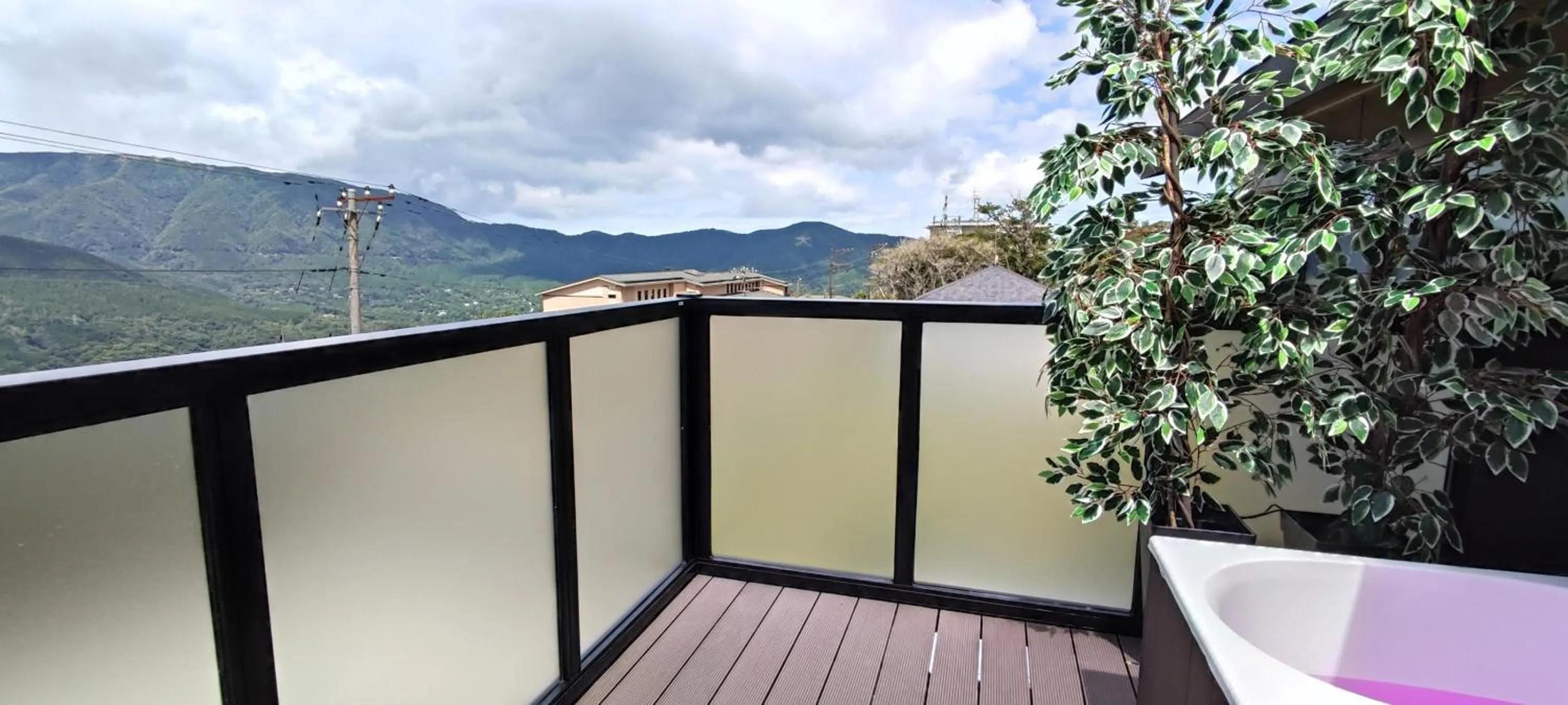 Mountain view in Hakone Gora Guam Dog