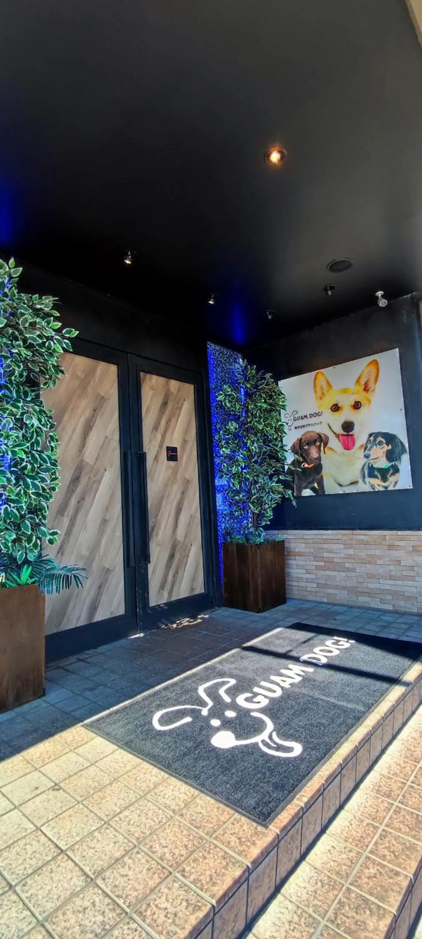 Hakone Gora Guam Dog