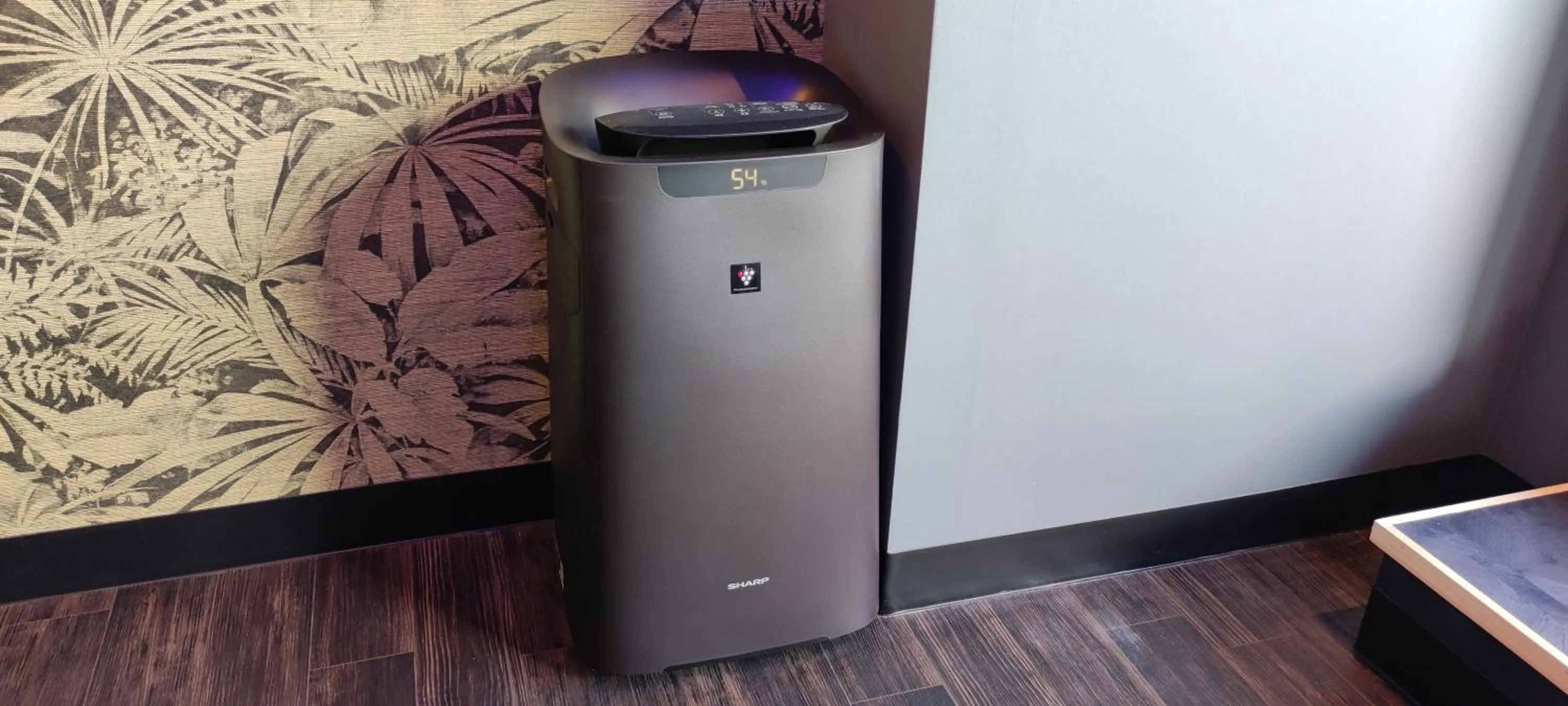 Hakone Gora Guam Dog