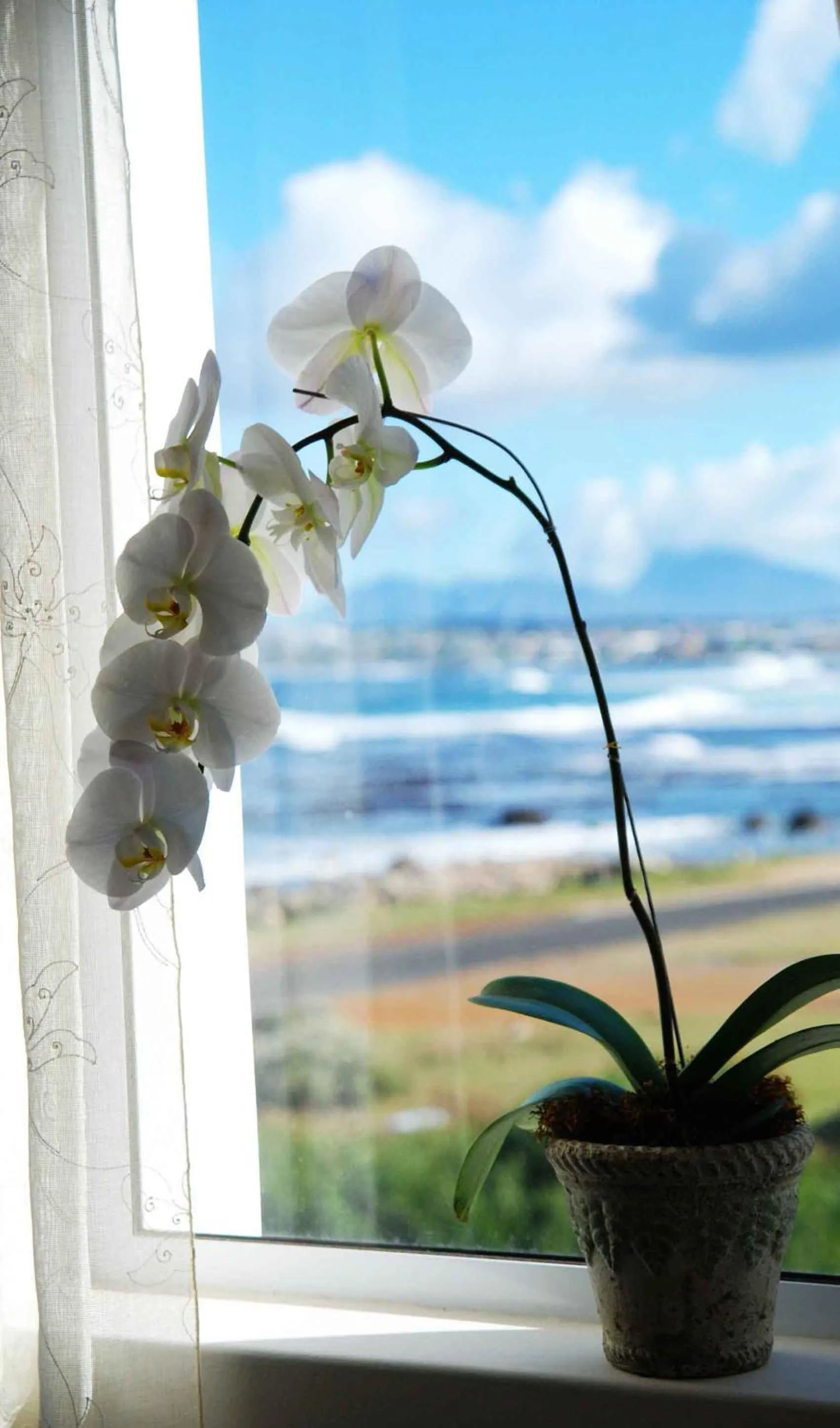 Decorative detail in 138 Marine Beachfront Guesthouse