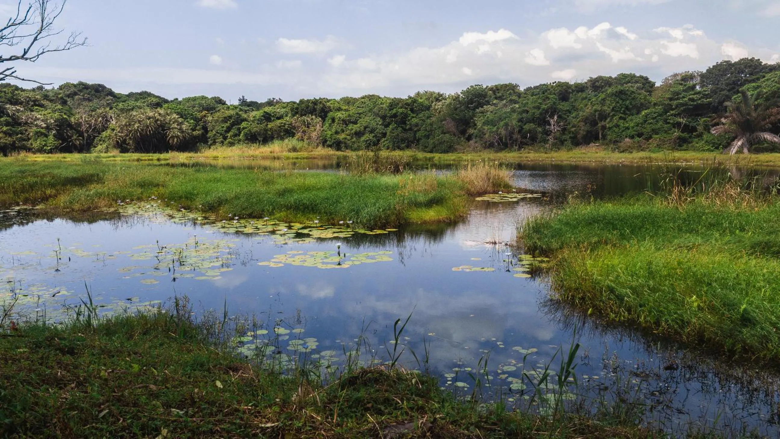 Imvubu Lodge