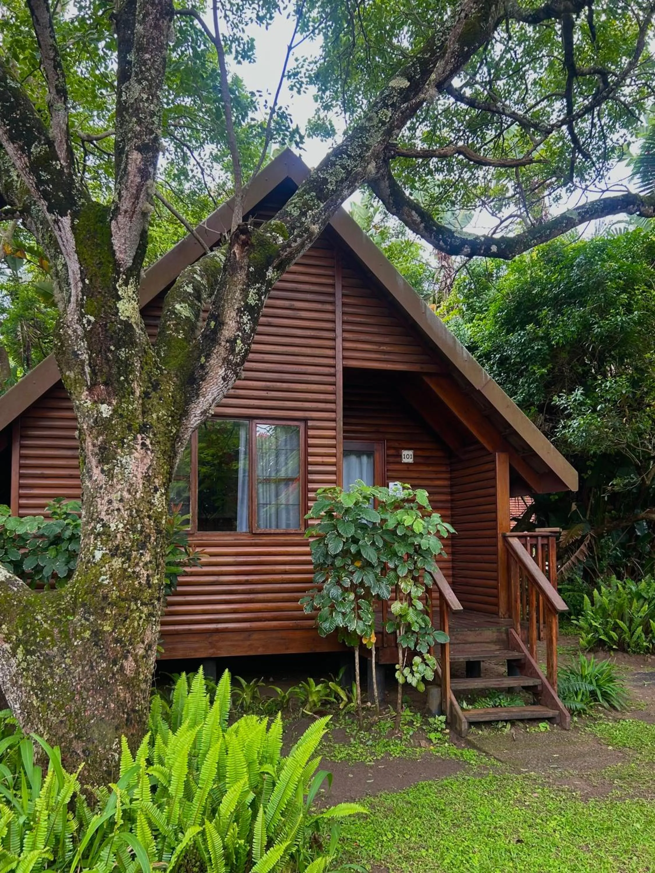 Imvubu Lodge