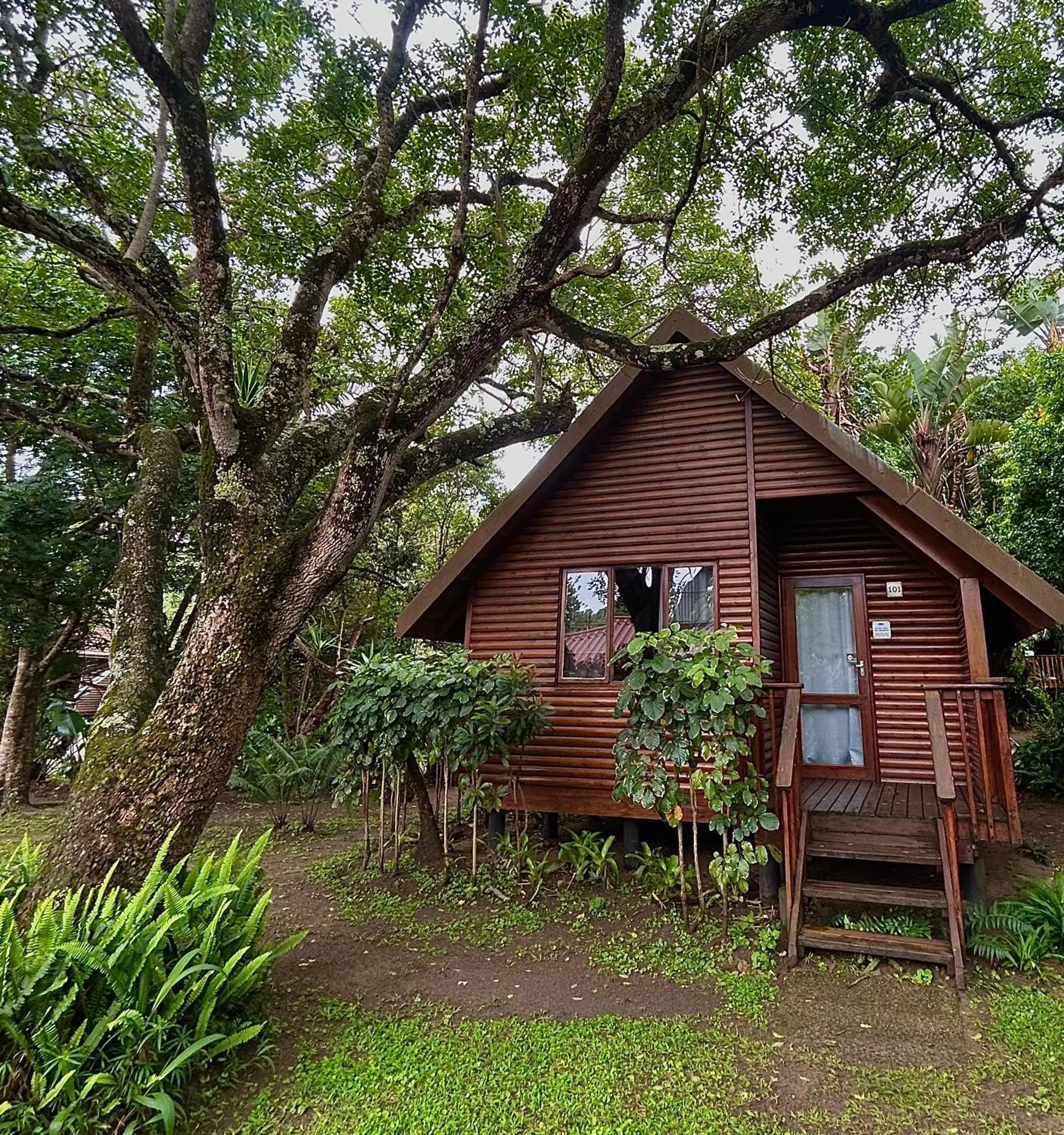 Imvubu Lodge