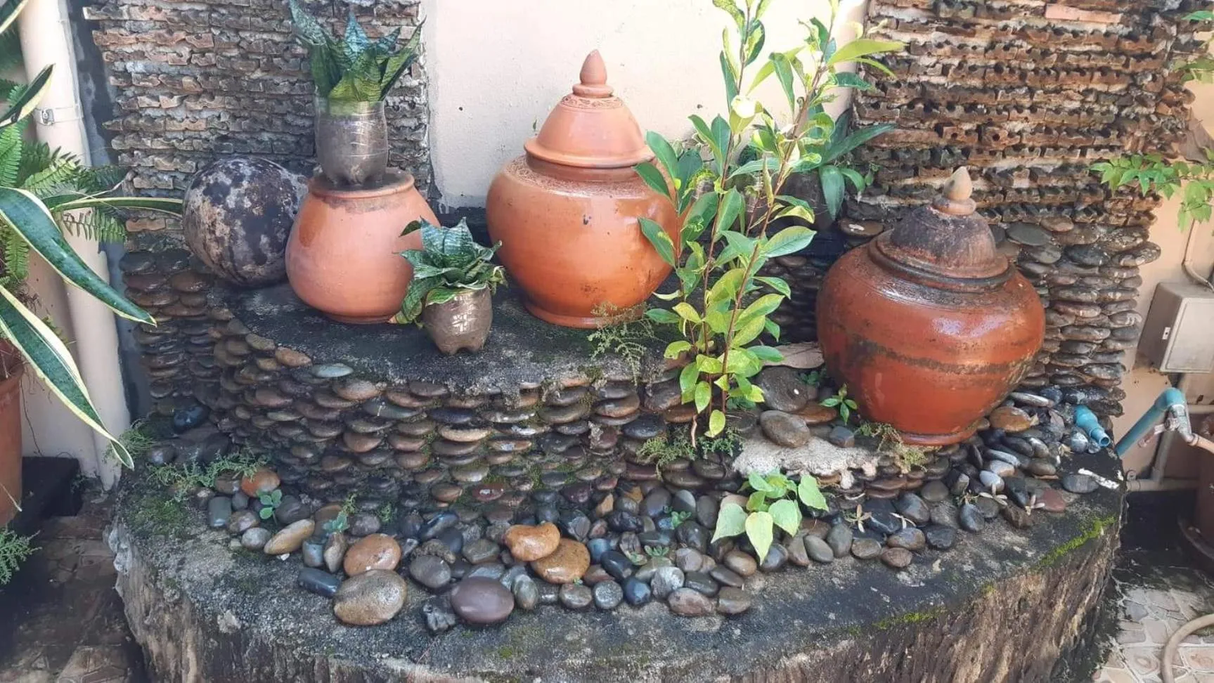 Garden in The North Hotel