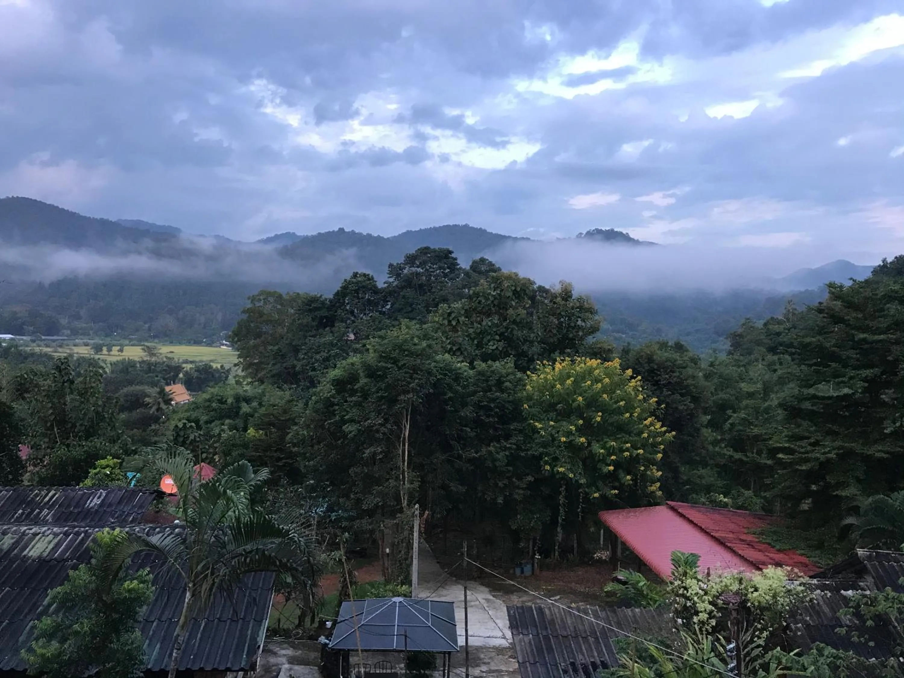Living room in Forest Guesthouse