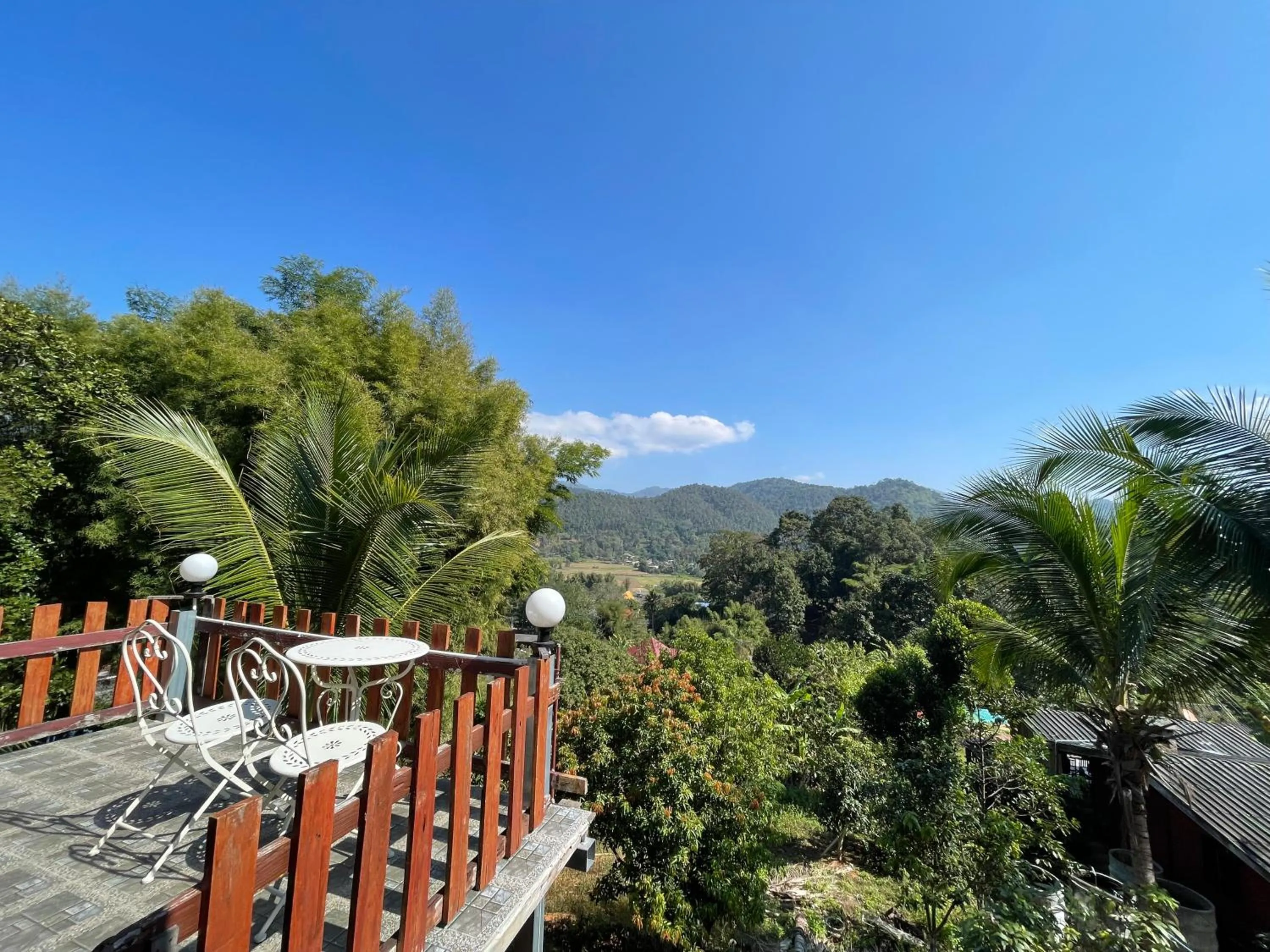 Balcony/Terrace in Forest Guesthouse