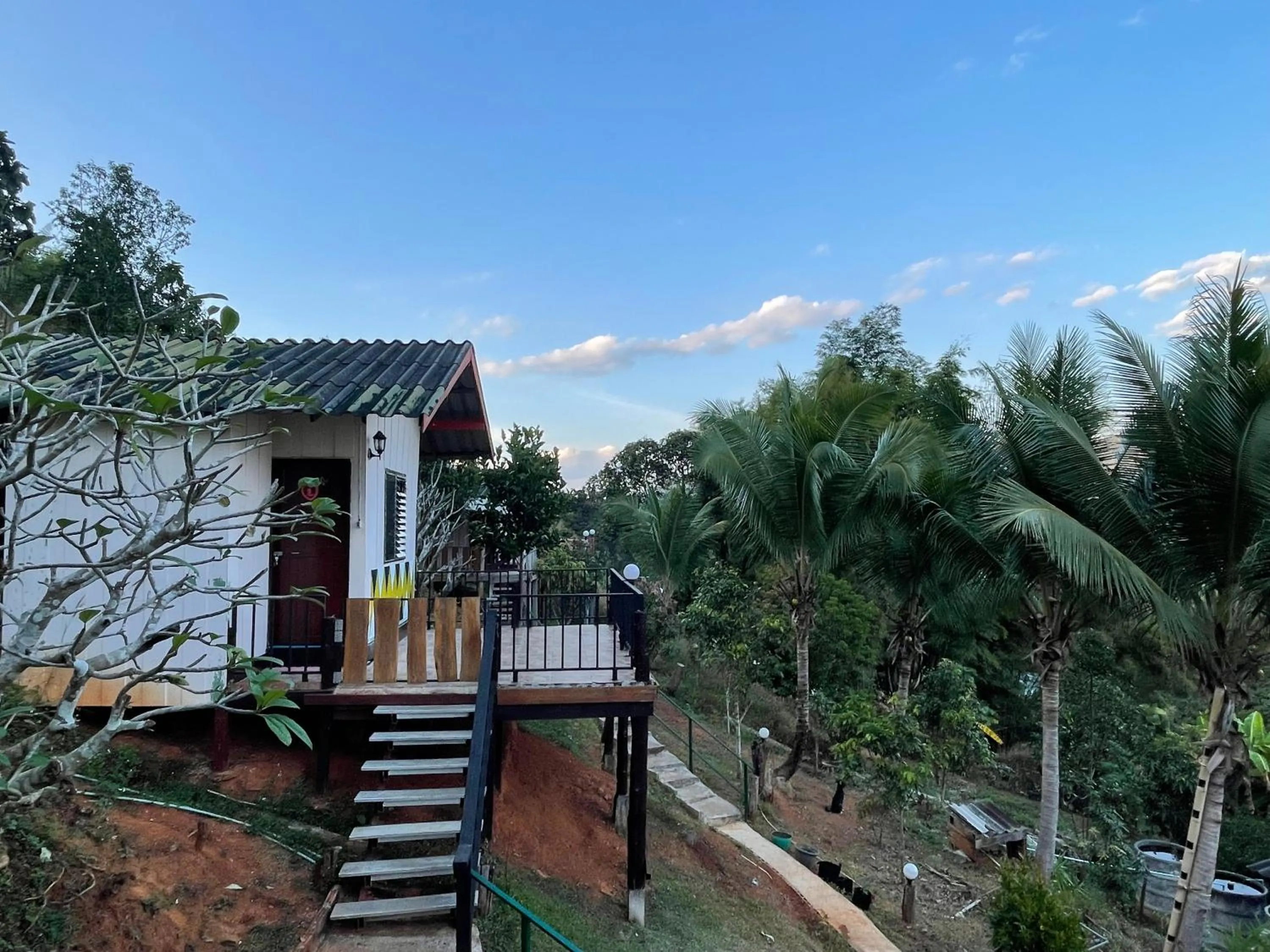 Balcony/Terrace in Forest Guesthouse
