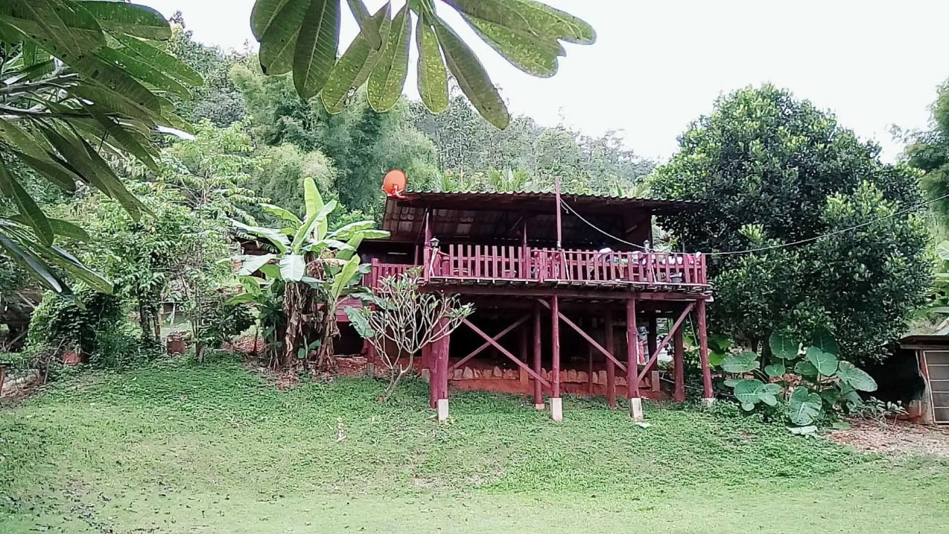 Forest Guesthouse