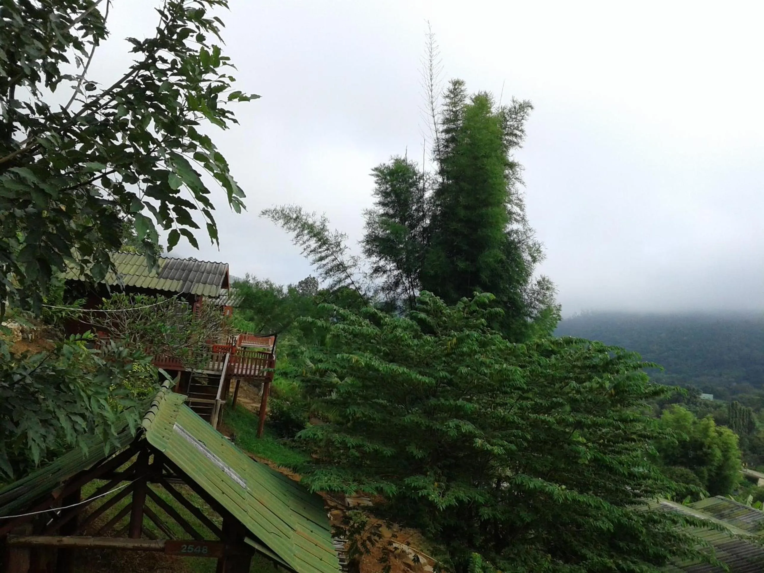 Natural landscape in Forest Guesthouse