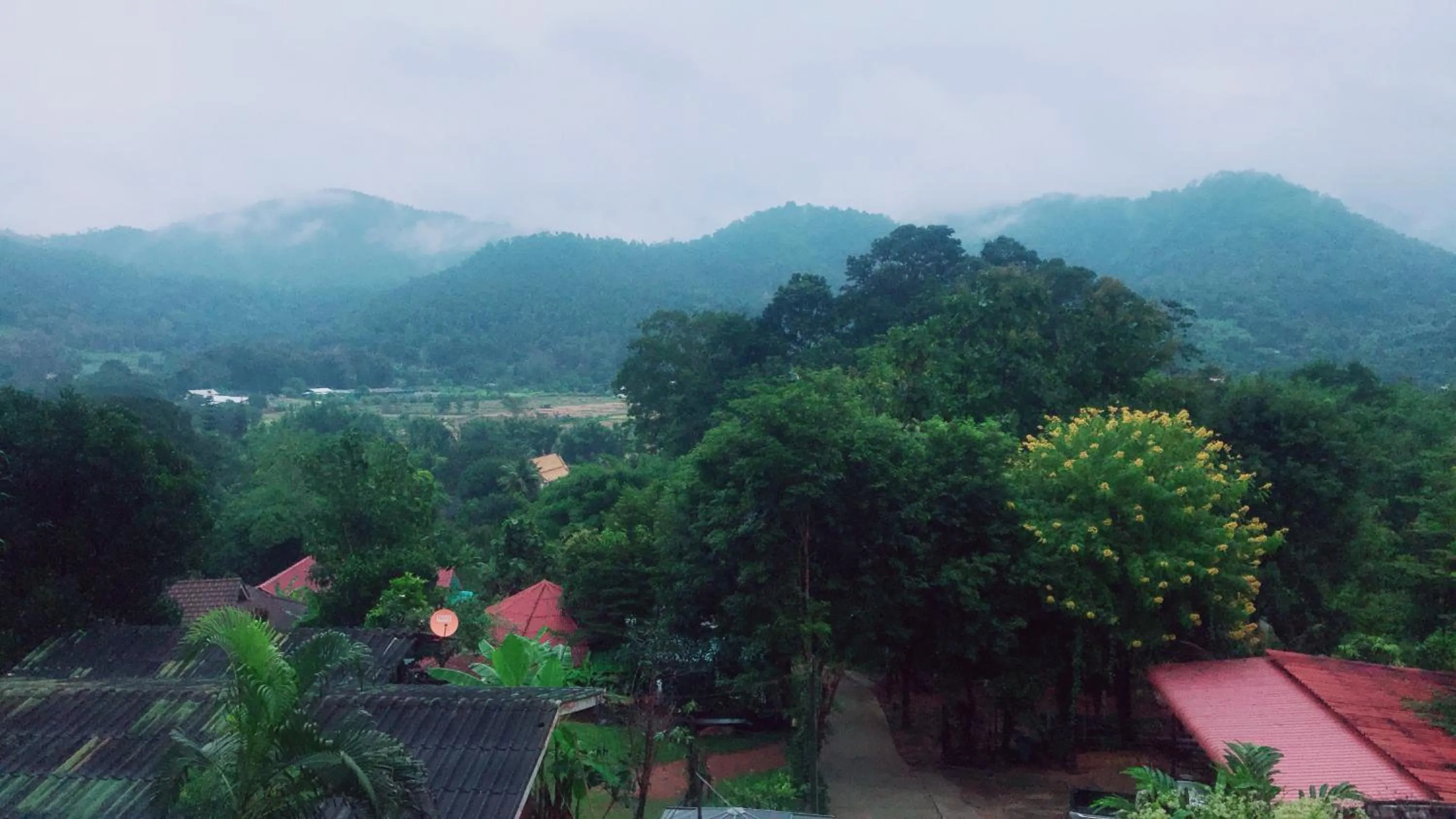 Living room in Forest Guesthouse