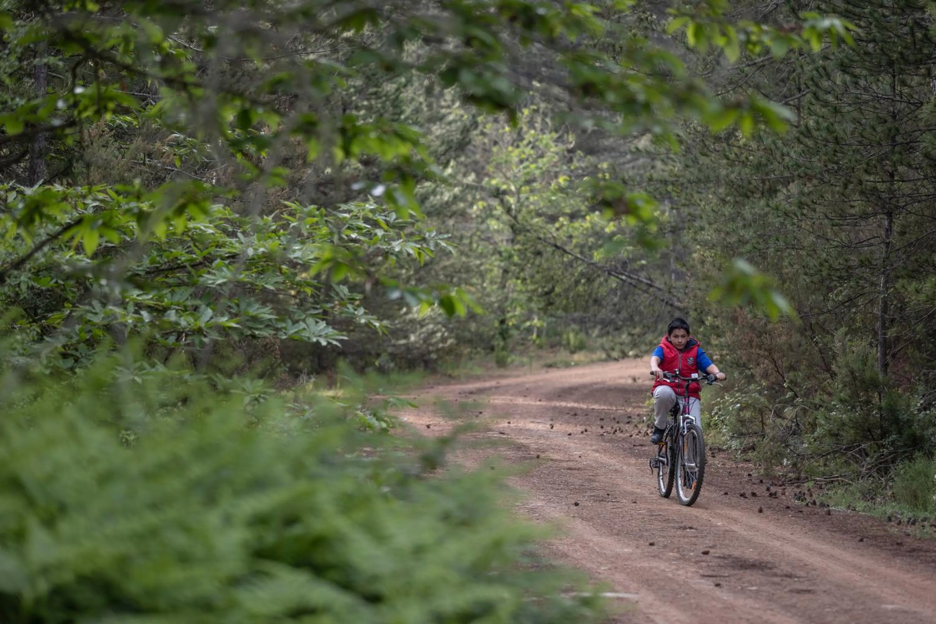 Cycling in Foresta in Medias Mores