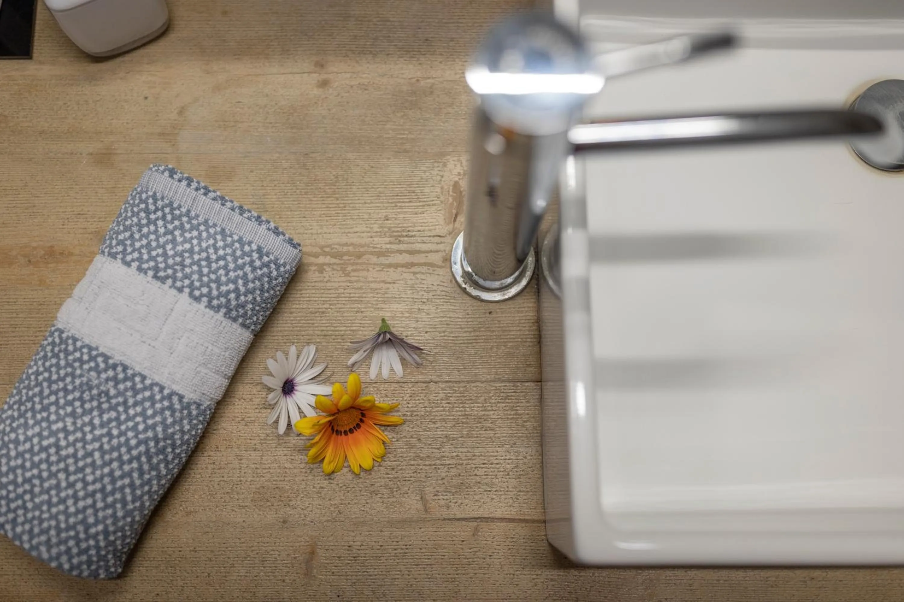 Bathroom in Foresta in Medias Mores