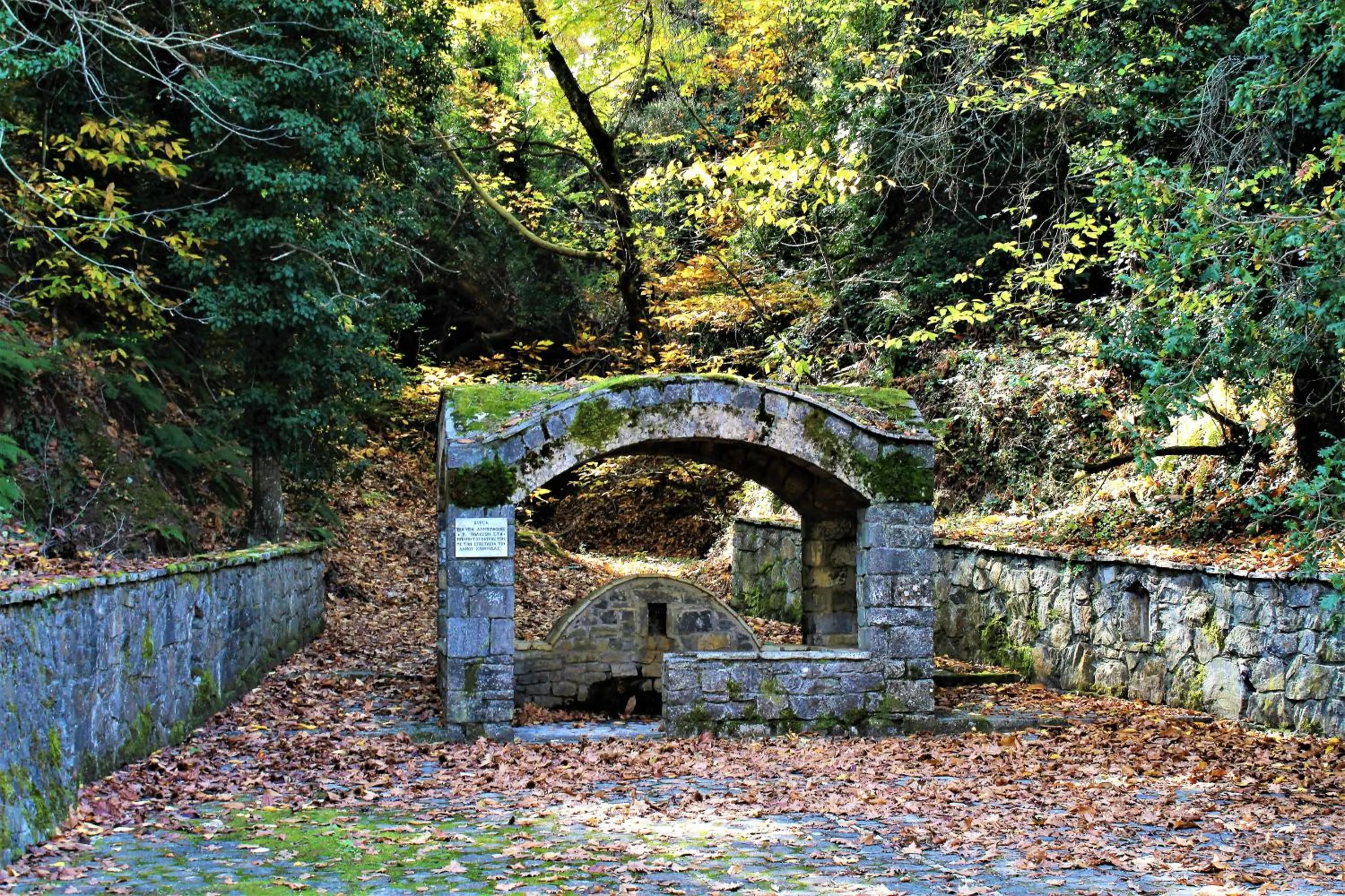 Autumn in Foresta in Medias Mores