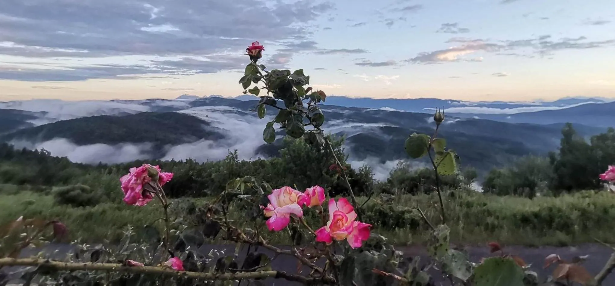 View (from property/room) in Foresta in Medias Mores