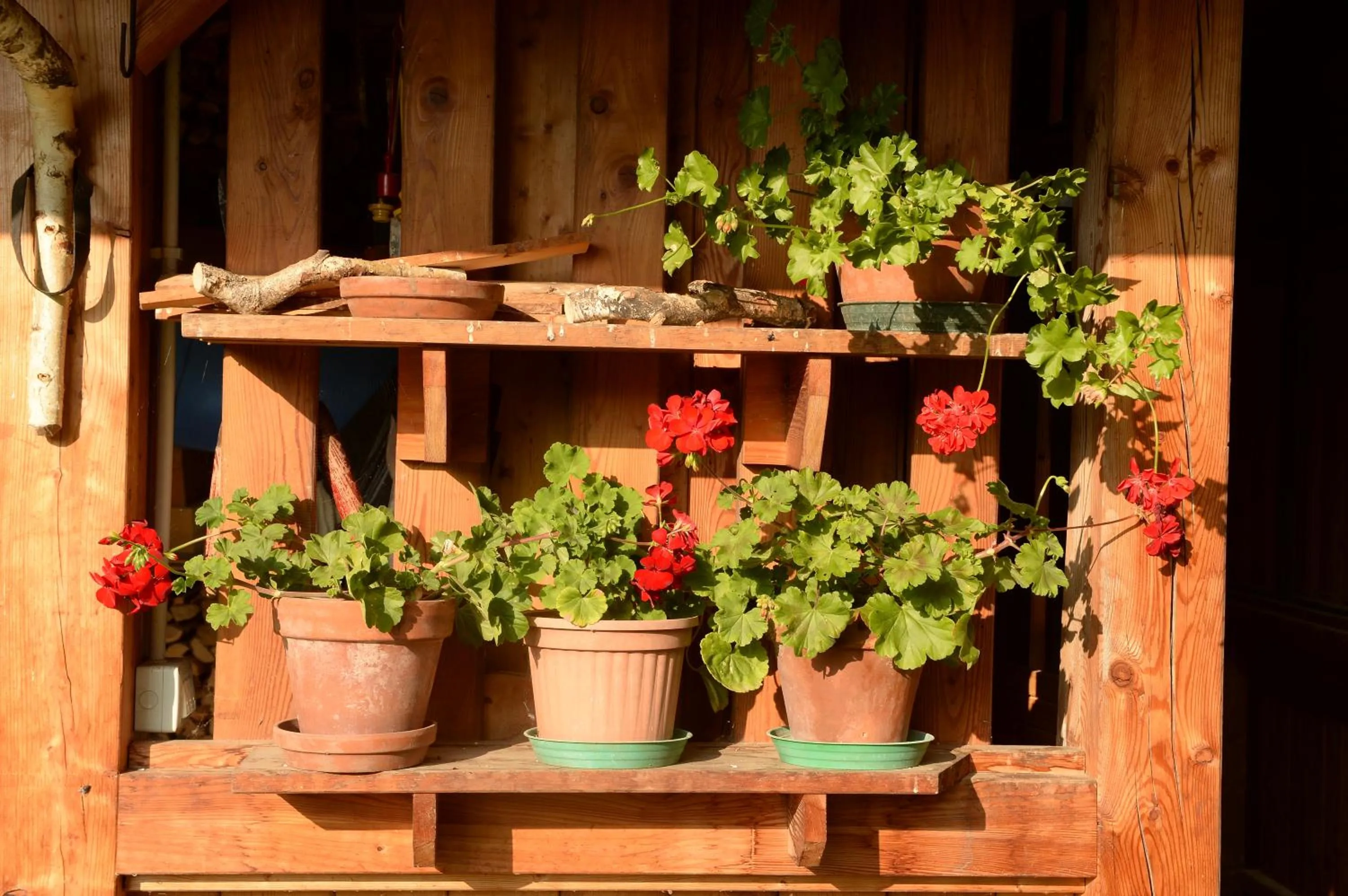Decorative detail in La Casa al Noce