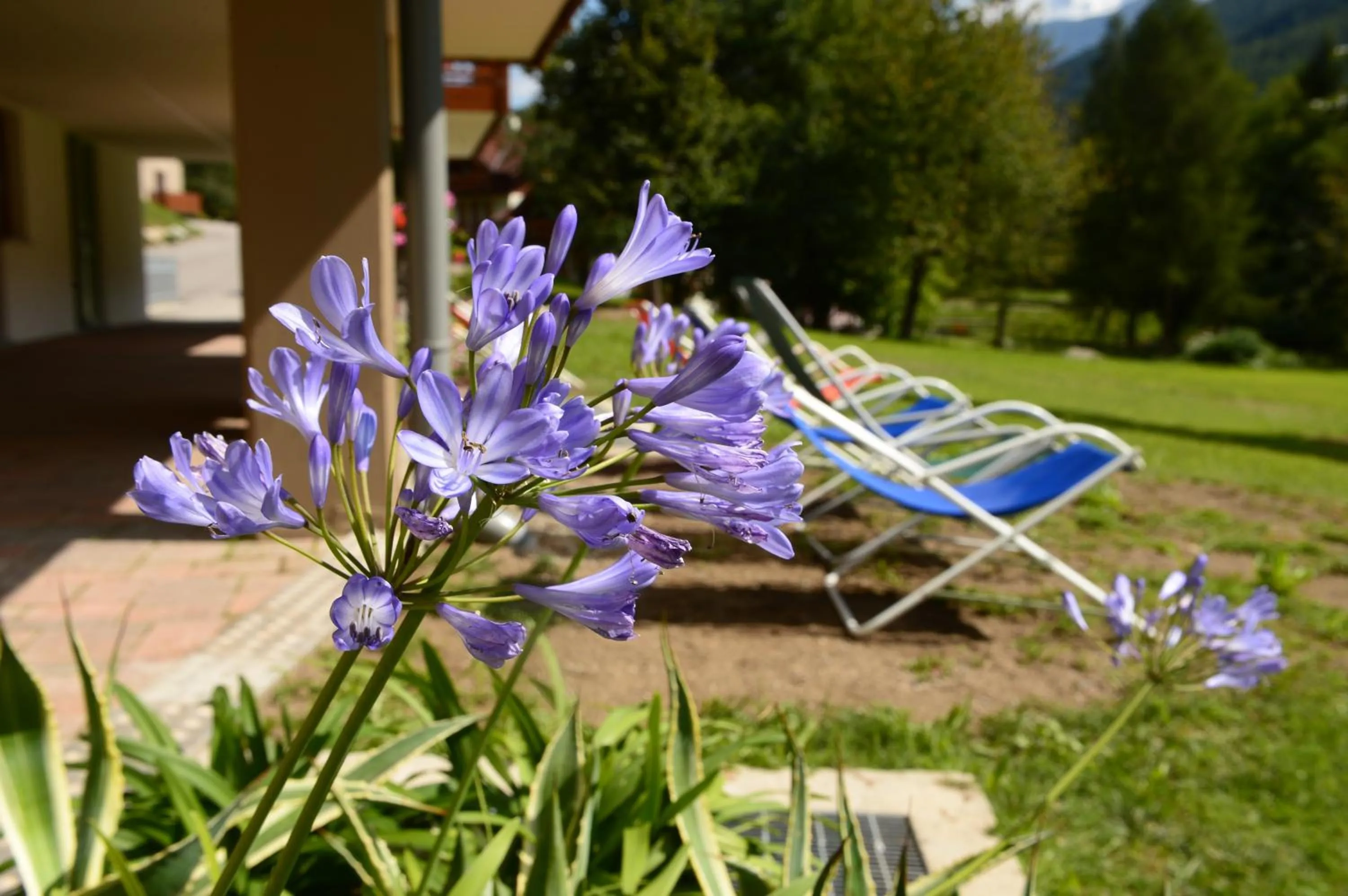 Garden in La Casa al Noce