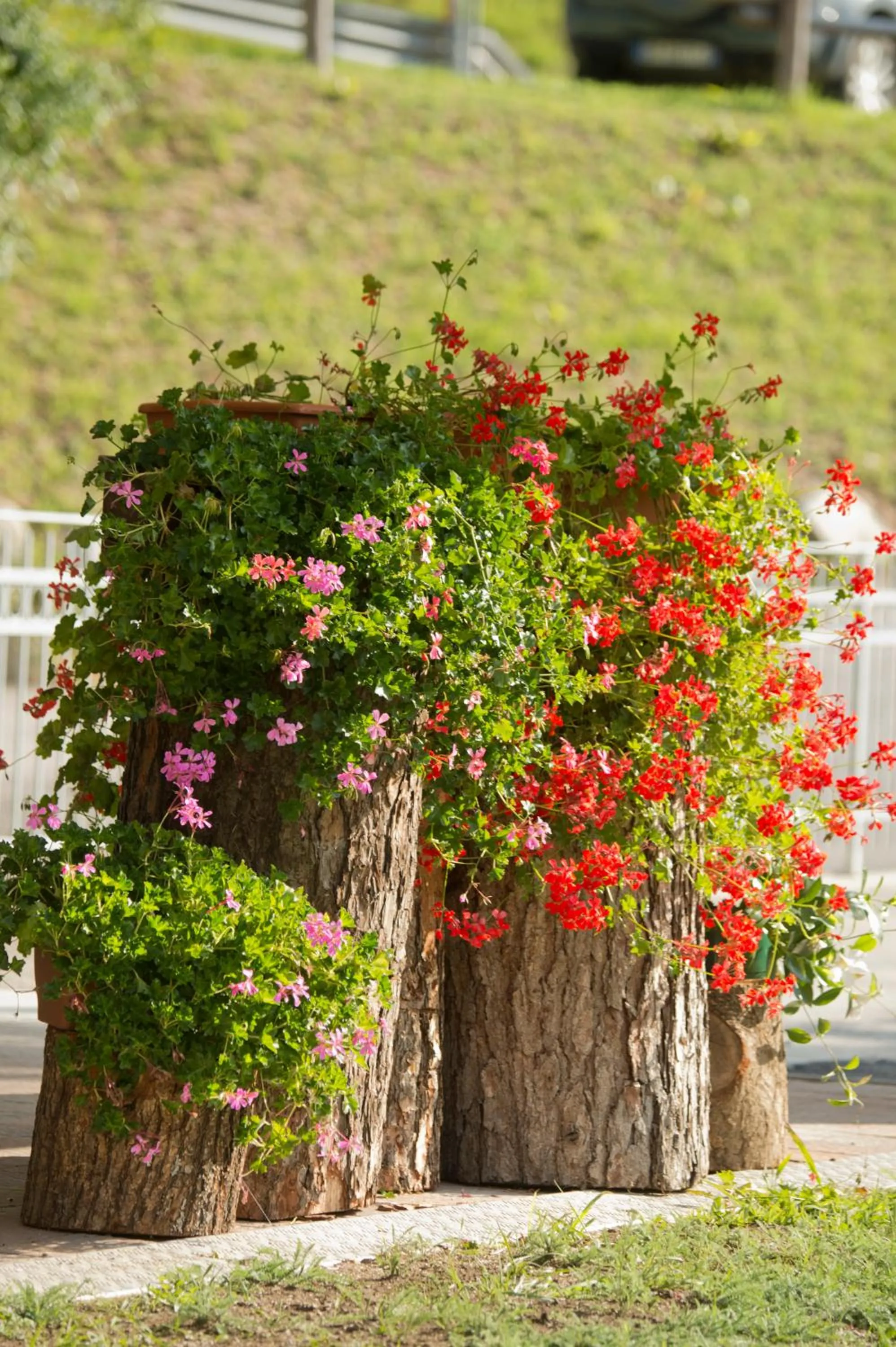 Decorative detail in La Casa al Noce