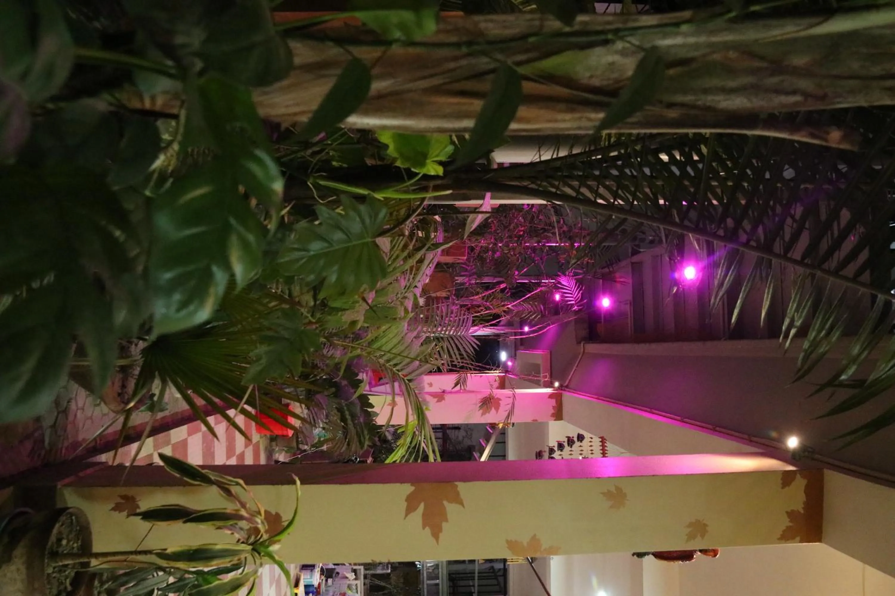 Garden view in The Elite Apartment Hotel