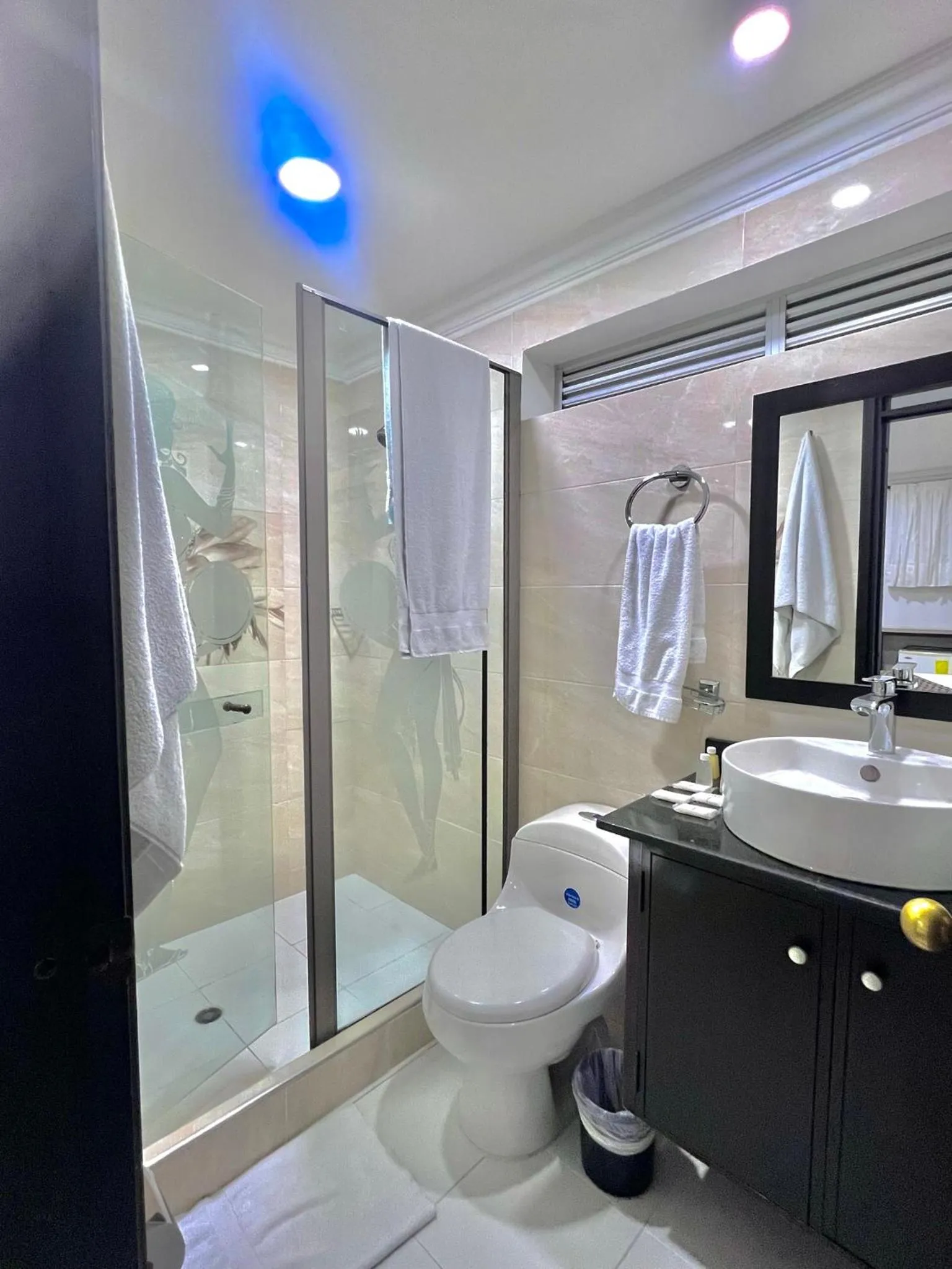 Shower in Hotel Ingenio Reina Isabel