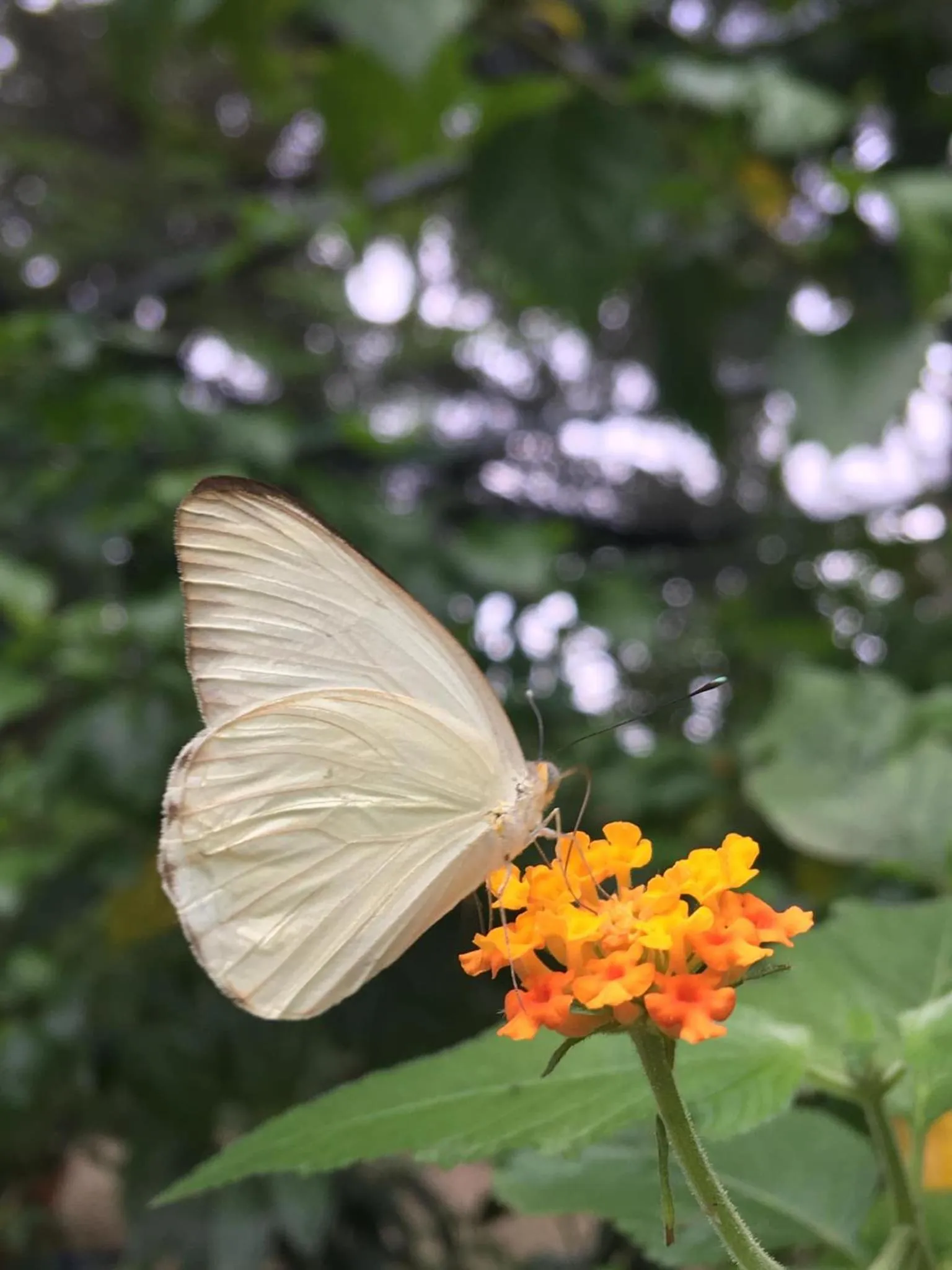 Activities in Venus Hotel