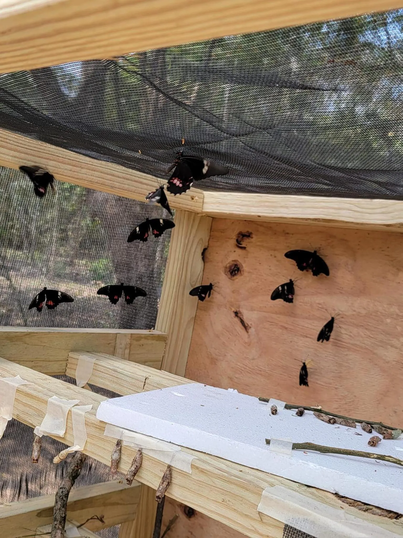 Activities in Venus Hotel