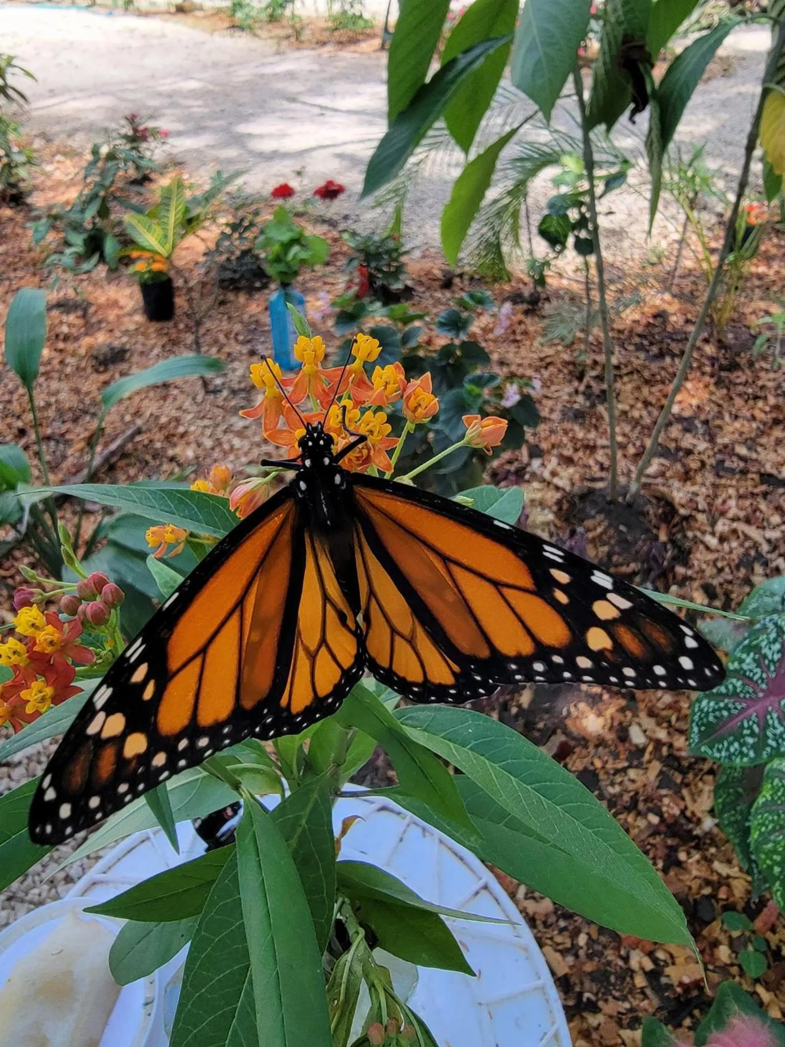 Activities in Venus Hotel