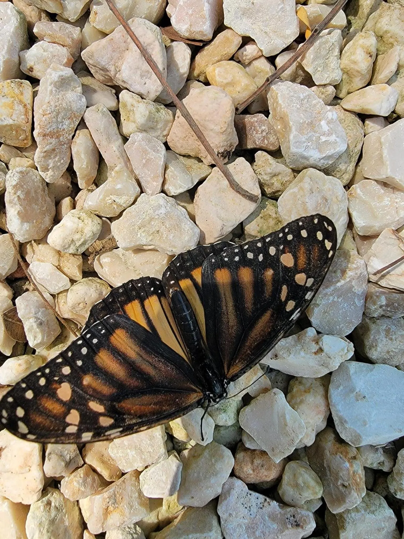 Time of day in Venus Hotel