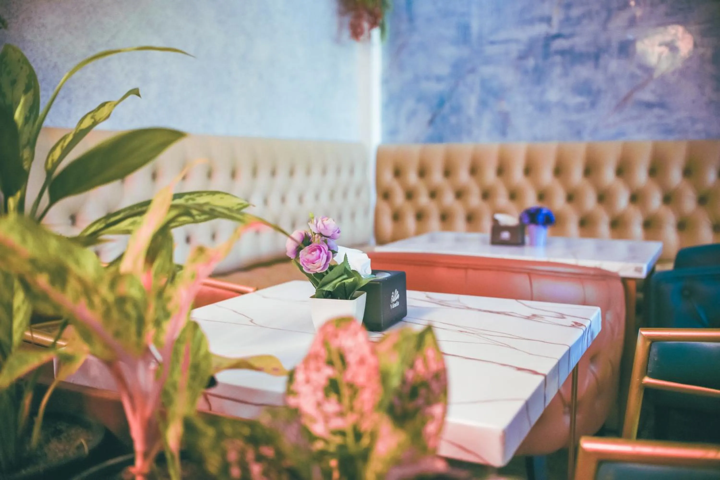 Restaurant/places to eat in Vilu Rest